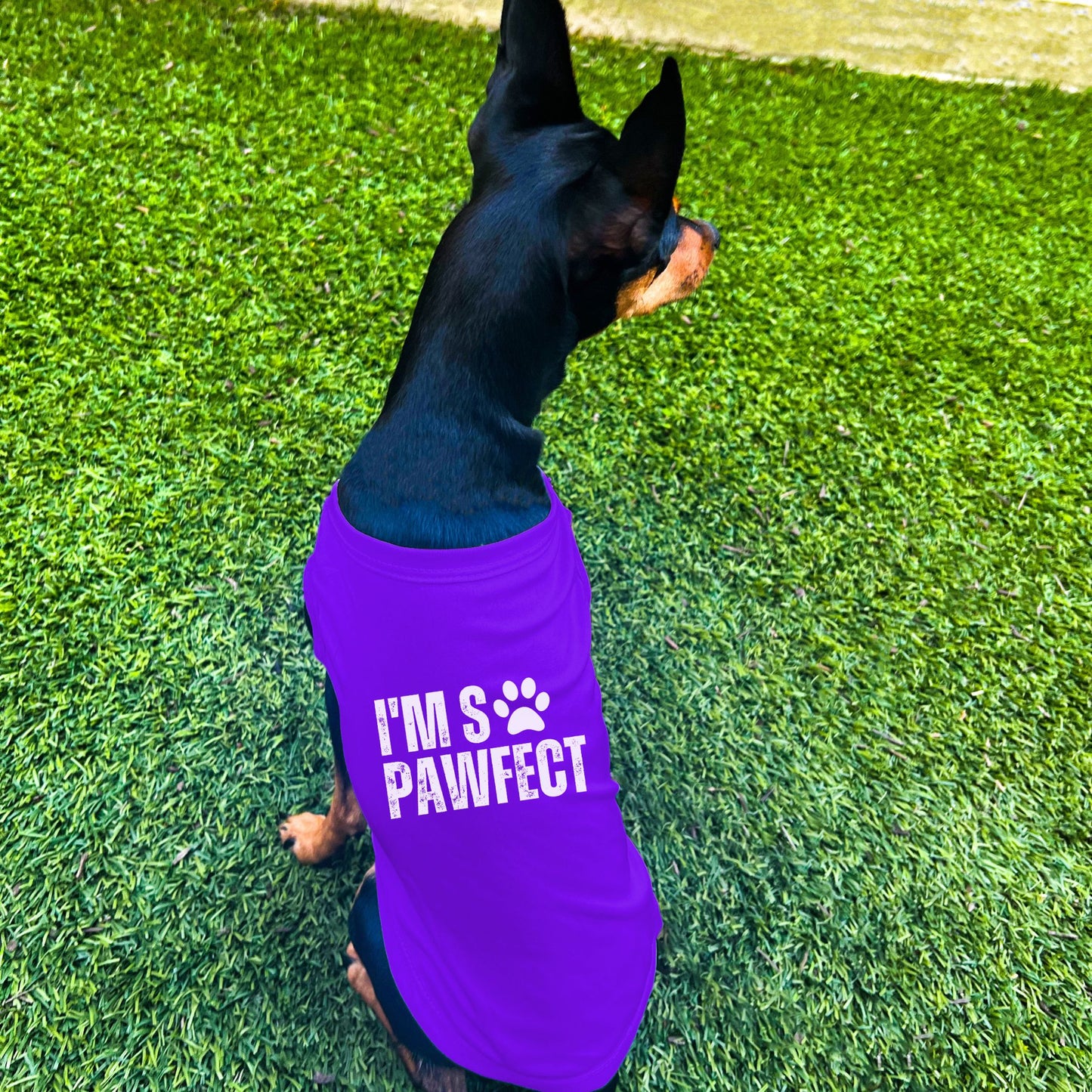 "I'm SO Pawfect" Dog Shirt