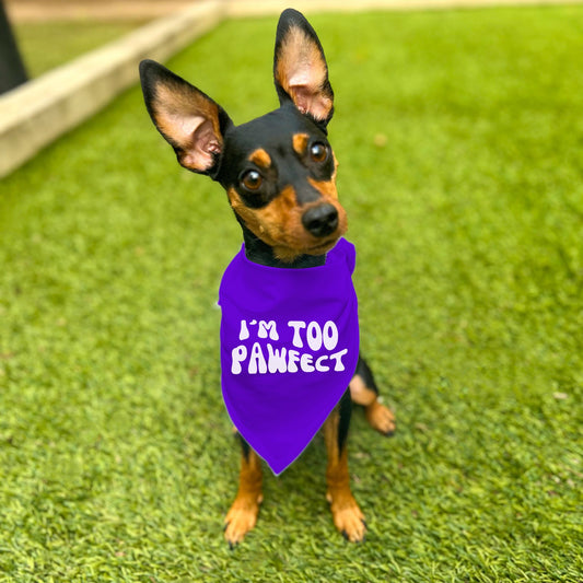 "I'm Too Pawfect" Dog Bandana