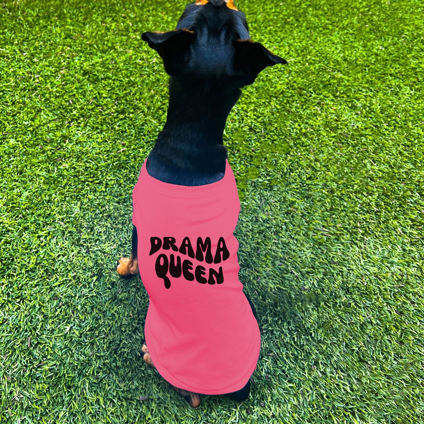 "Drama Queen" Retro Wave Dog Shirt