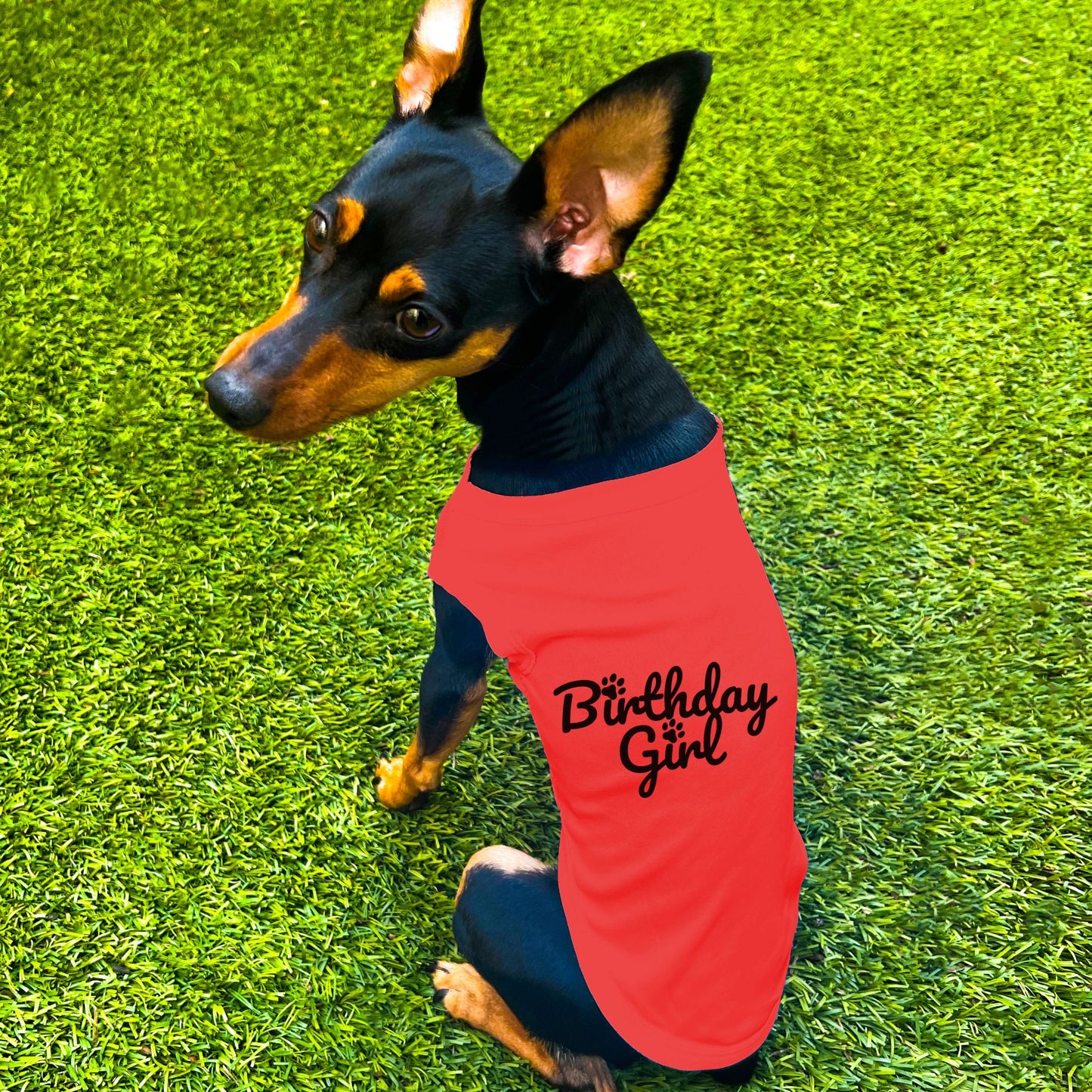 "Birthday Girl" Dog Shirt