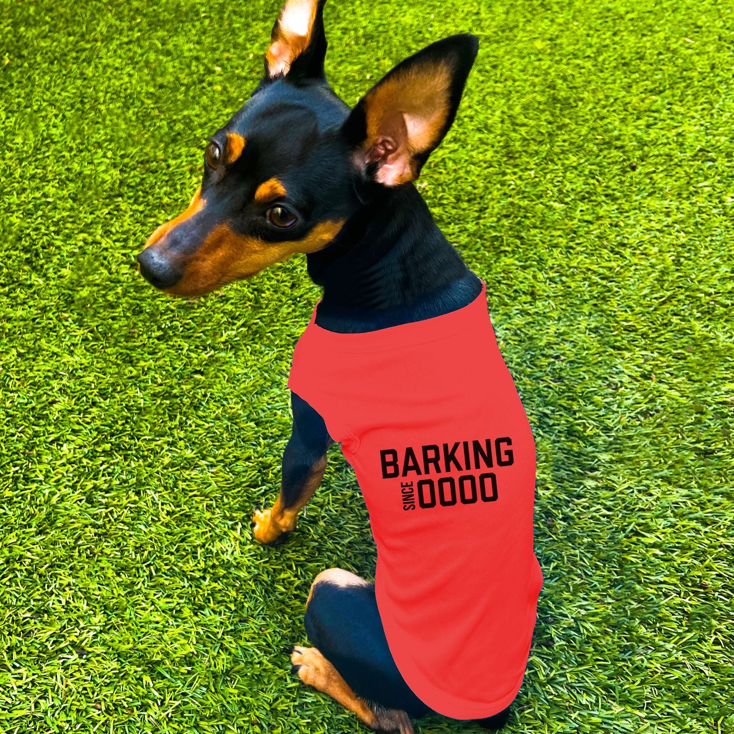 "Barking Since 0000" Custom Dog Shirt