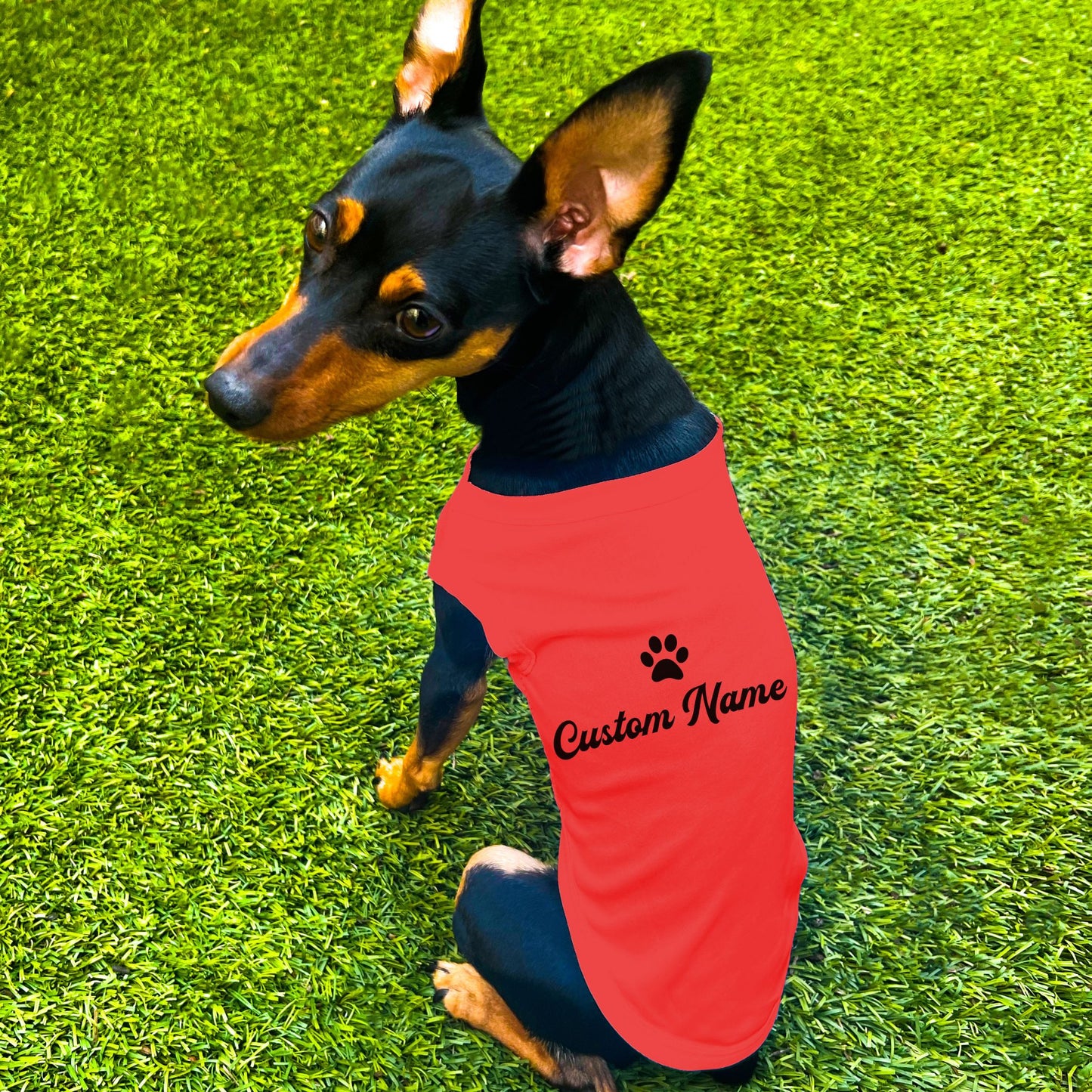 "Personalize Paw" Custom Dog Shirt
