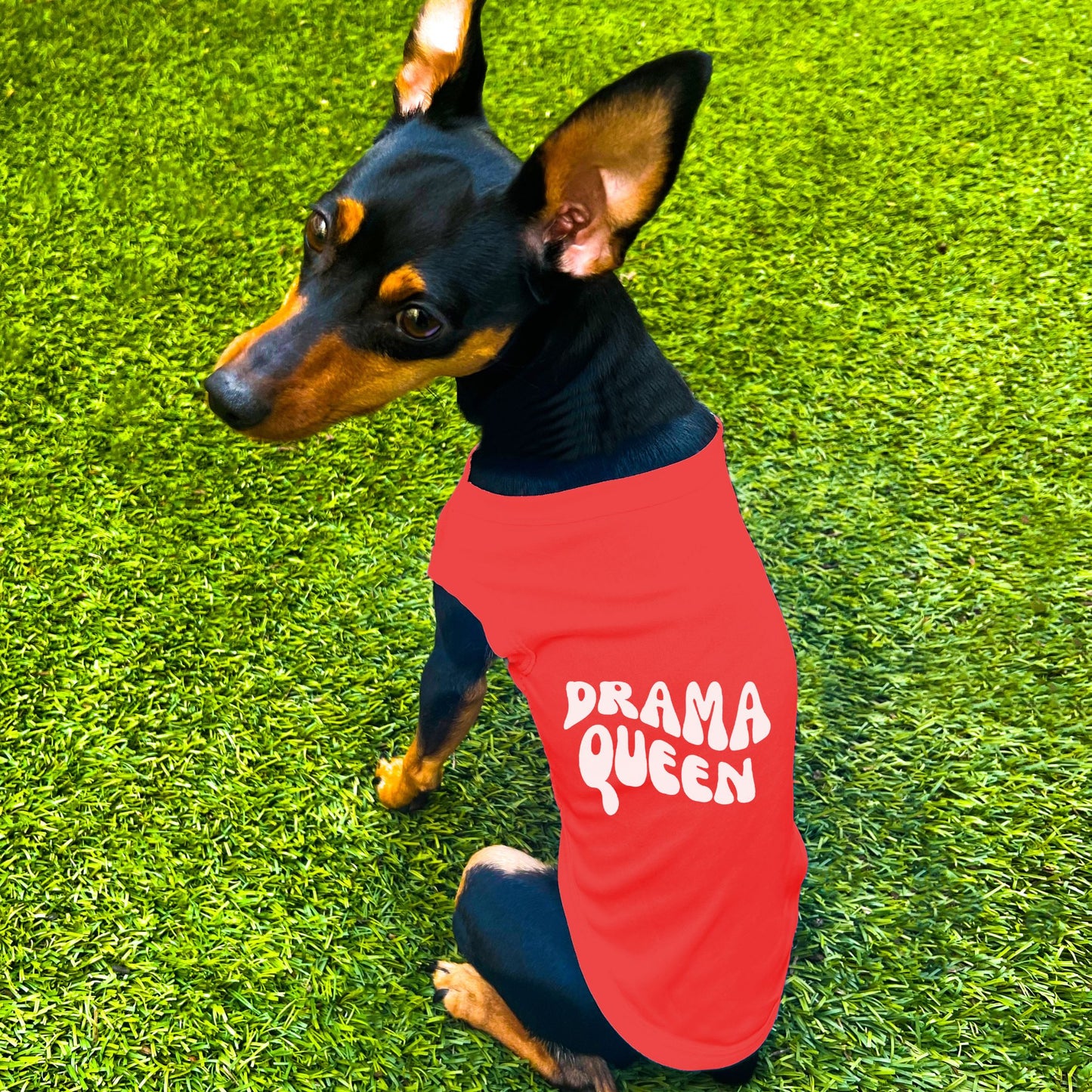 "Drama Queen" Retro Wave Dog Shirt