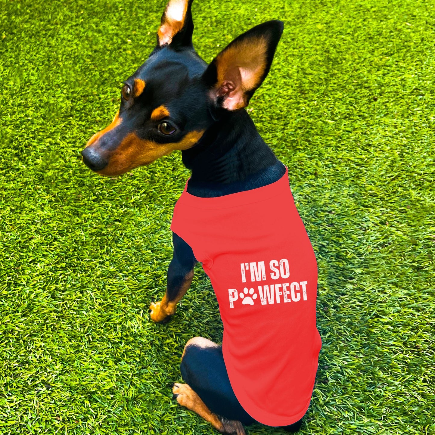 "I'm So PAWfect" Dog Shirt