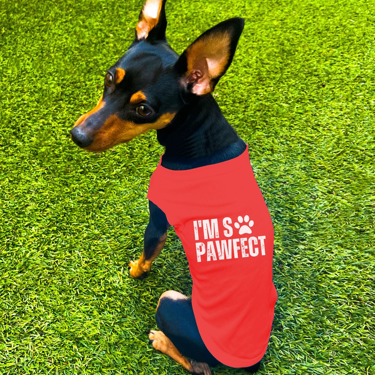 "I'm SO Pawfect" Dog Shirt