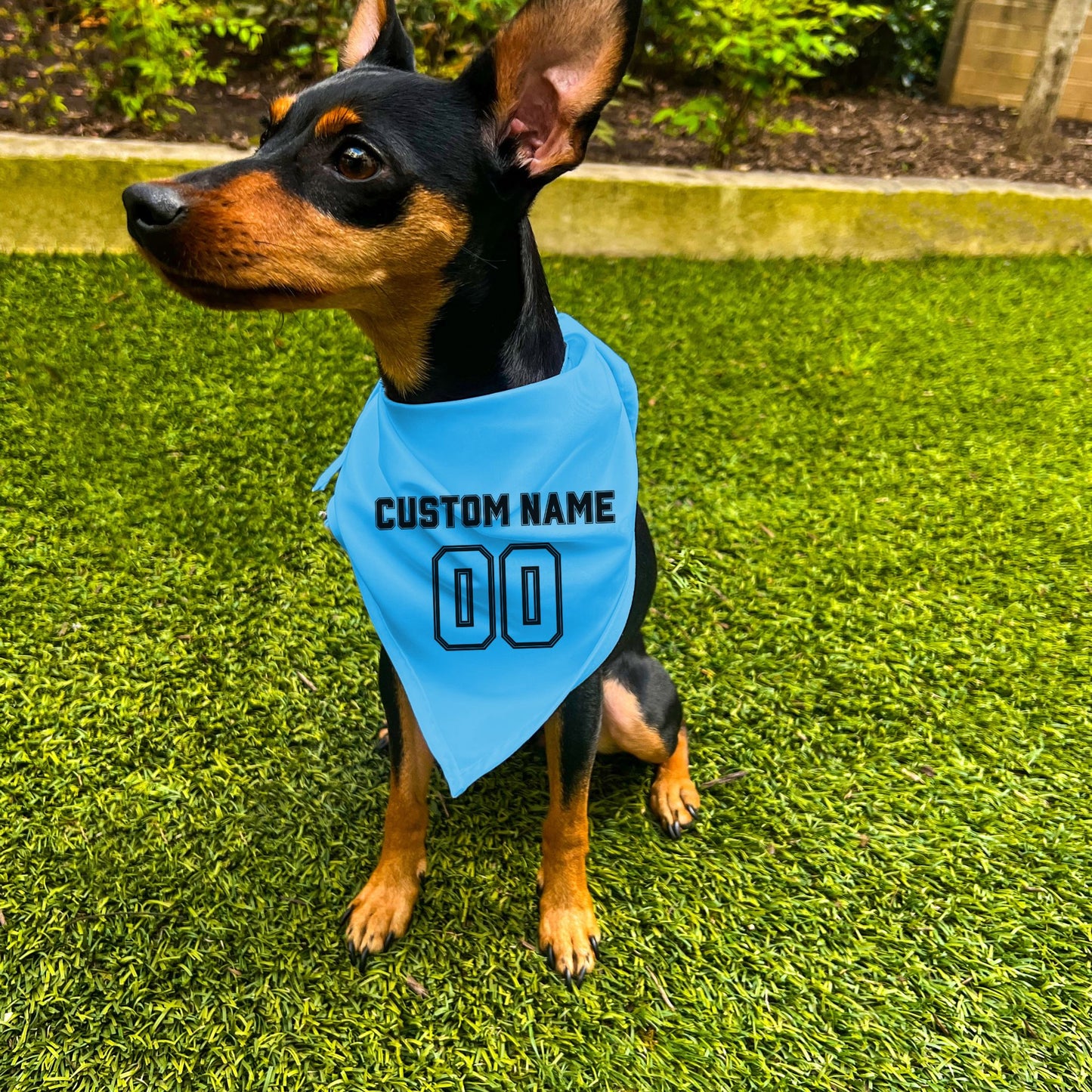 "Team Jersey 00" Custom Dog Bandana