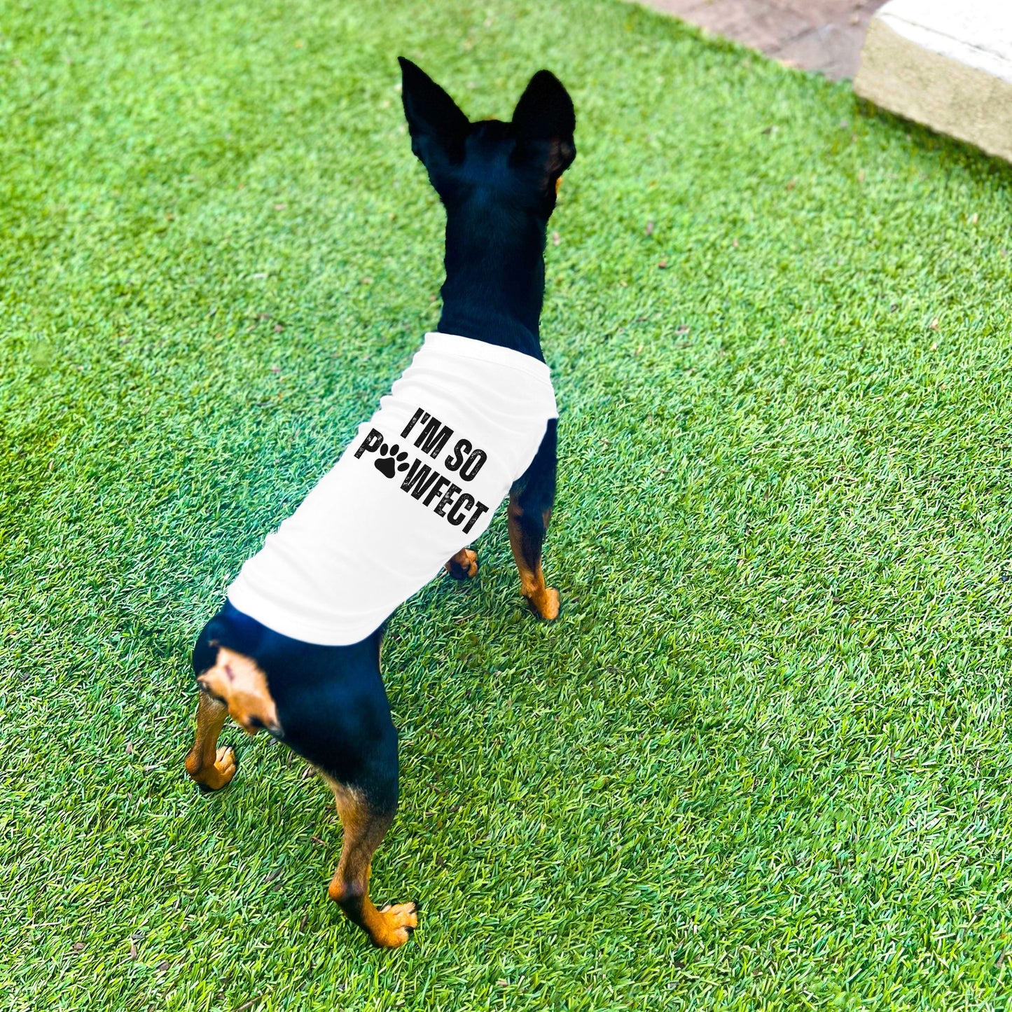 "I'm So PAWfect" Dog Shirt