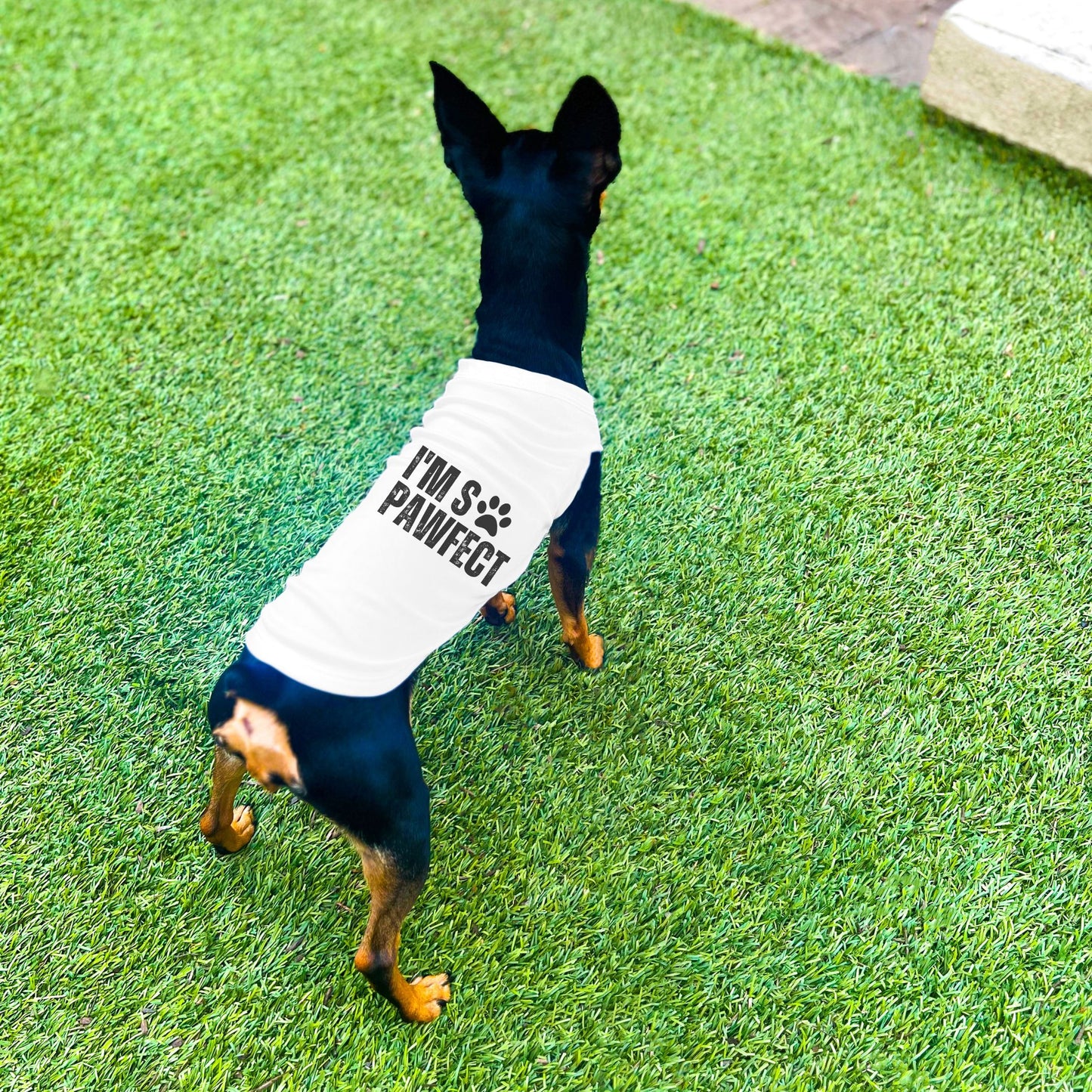 "I'm SO Pawfect" Dog Shirt