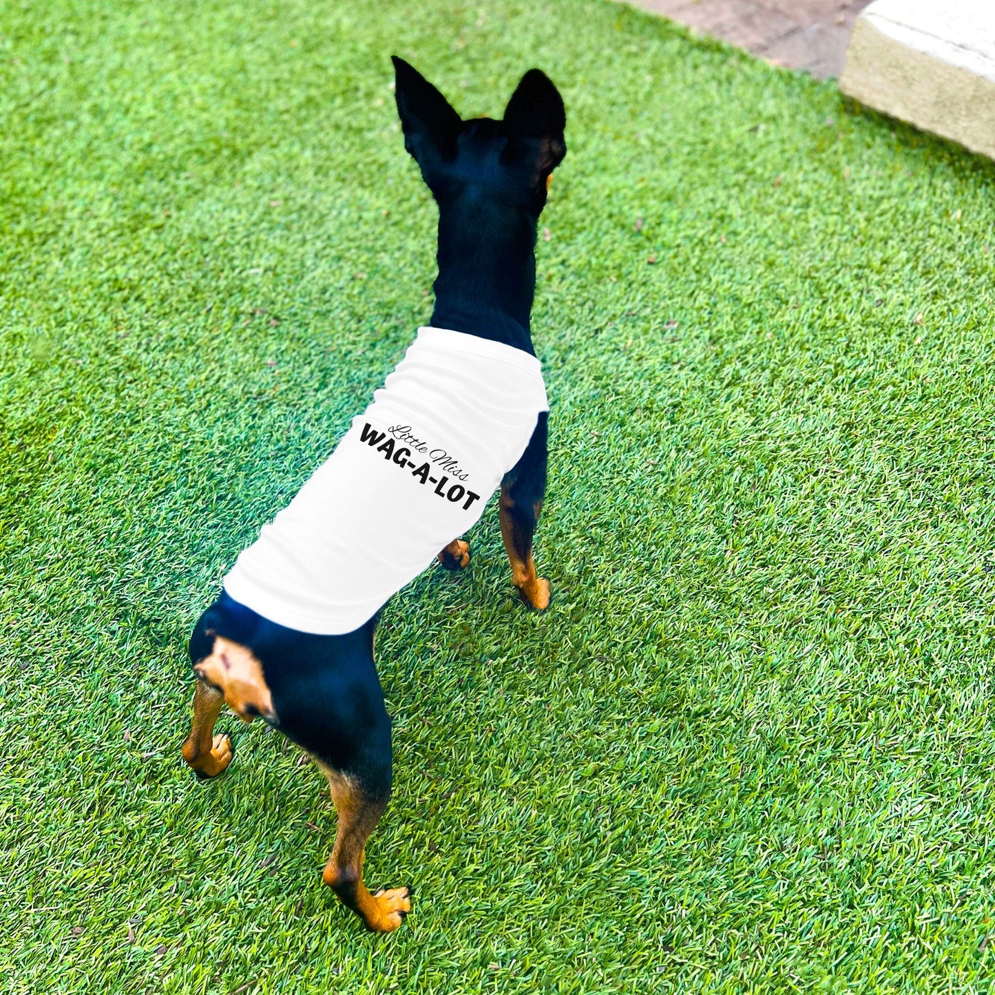"Little Miss Wag-A-Lot" Dog Shirt