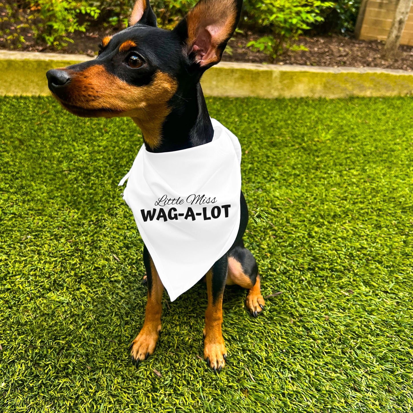 "Little Miss Wag-A-Lot" Dog Bandana