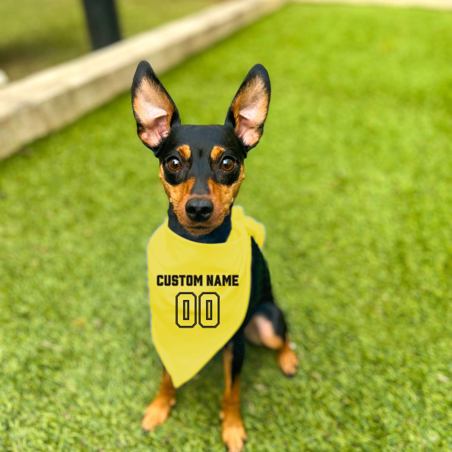"Team Jersey 00" Custom Dog Bandana