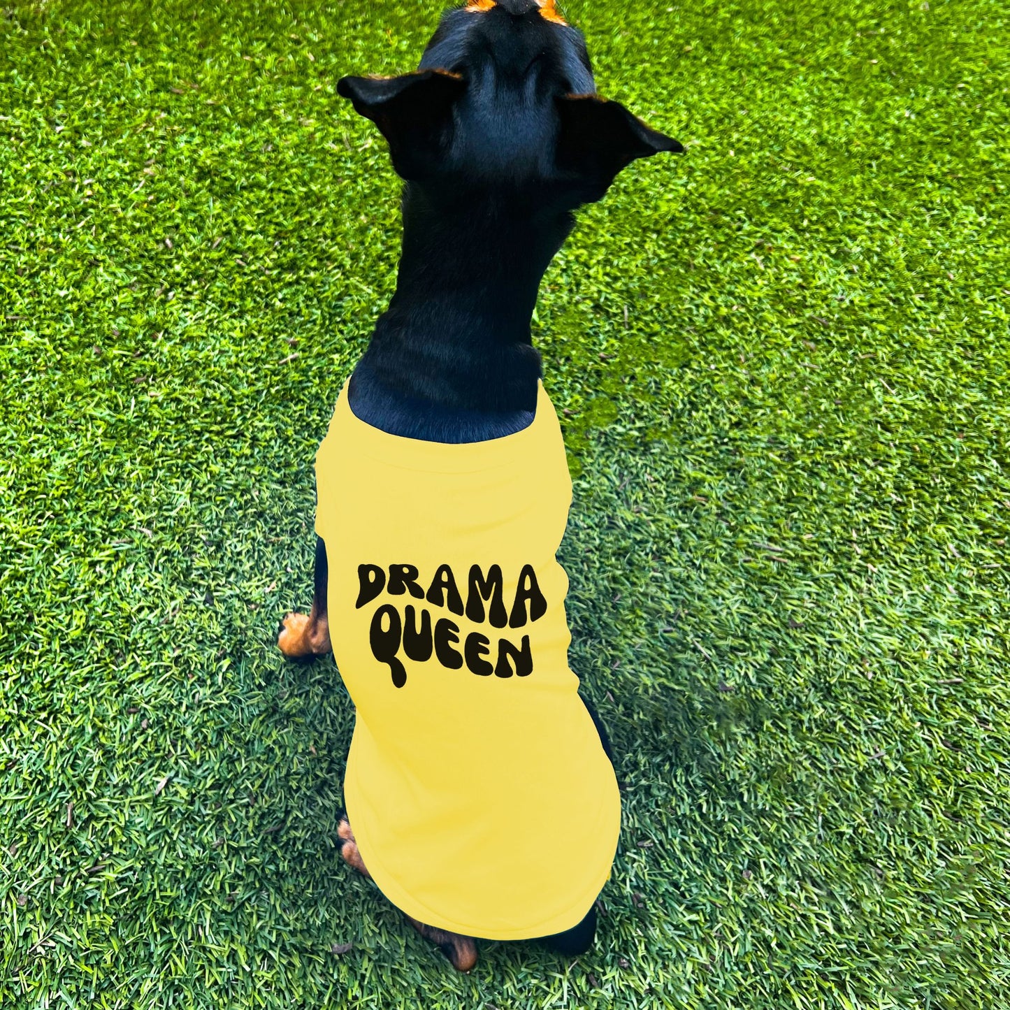 "Drama Queen" Retro Wave Dog Shirt