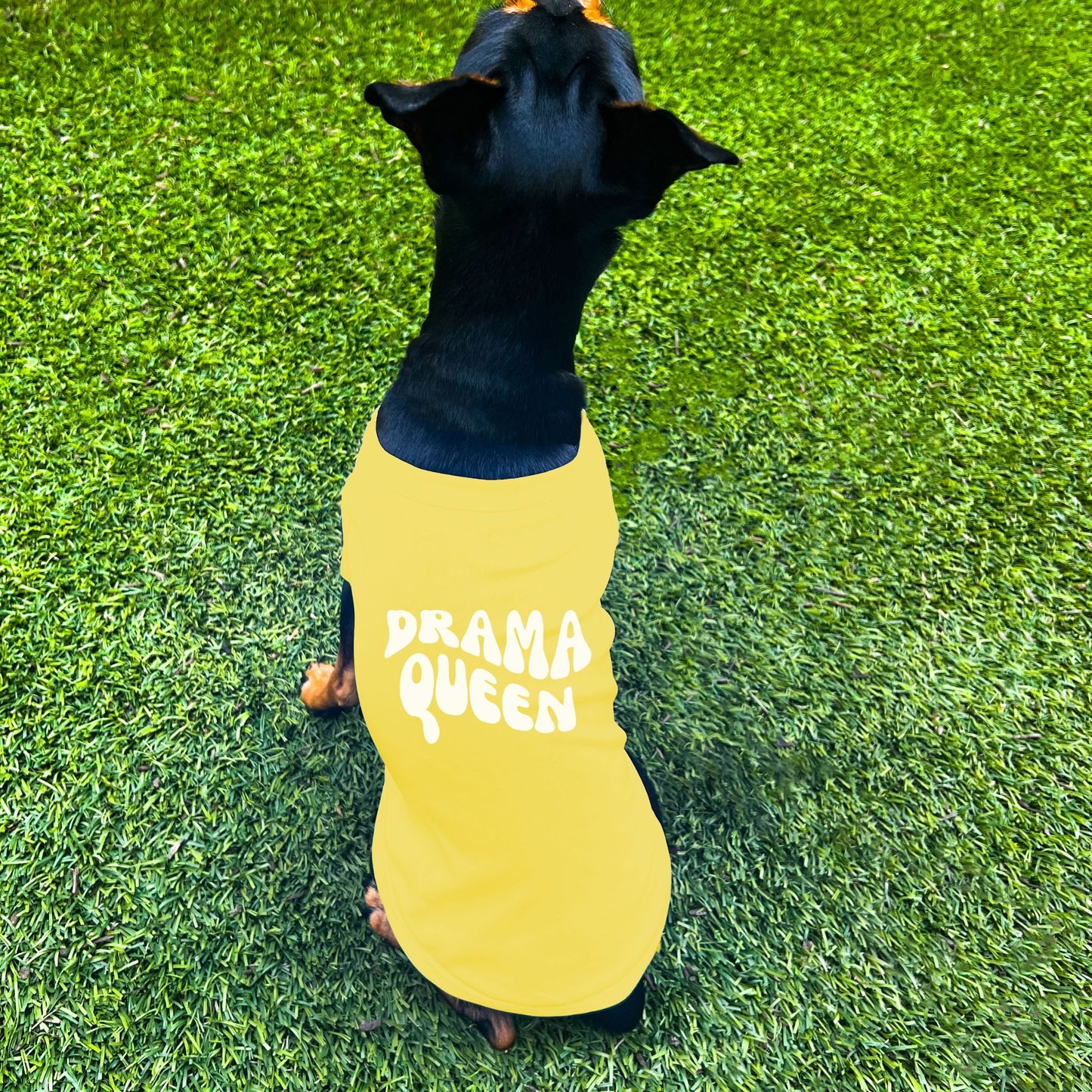 "Drama Queen" Retro Wave Dog Shirt