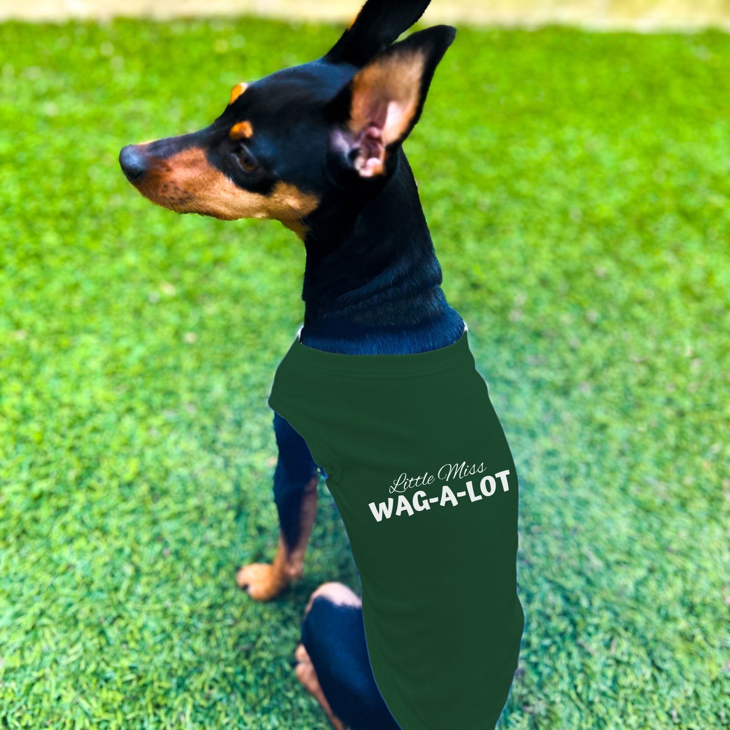 "Little Miss Wag-A-Lot" Dog Shirt