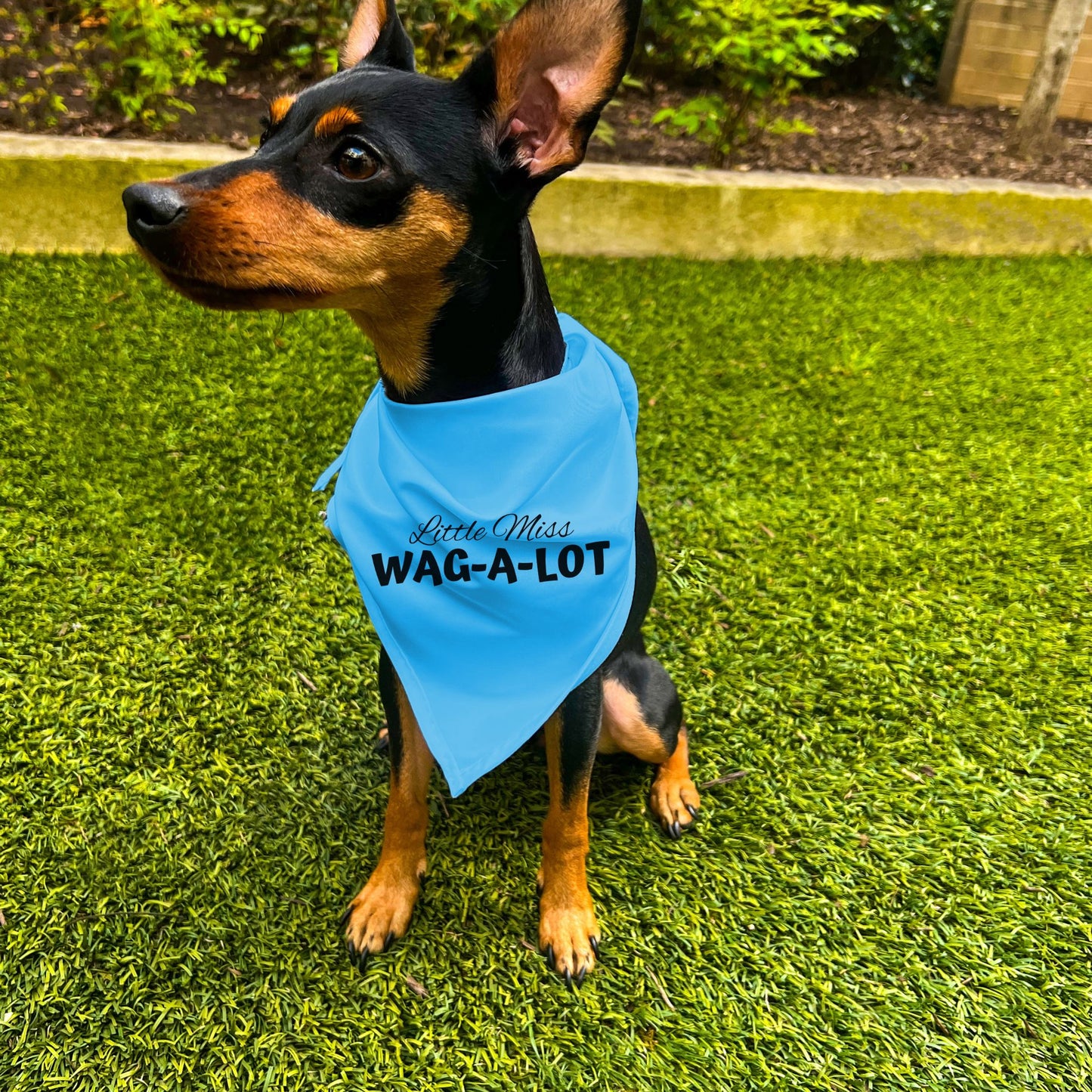 "Little Miss Wag-A-Lot" Dog Bandana