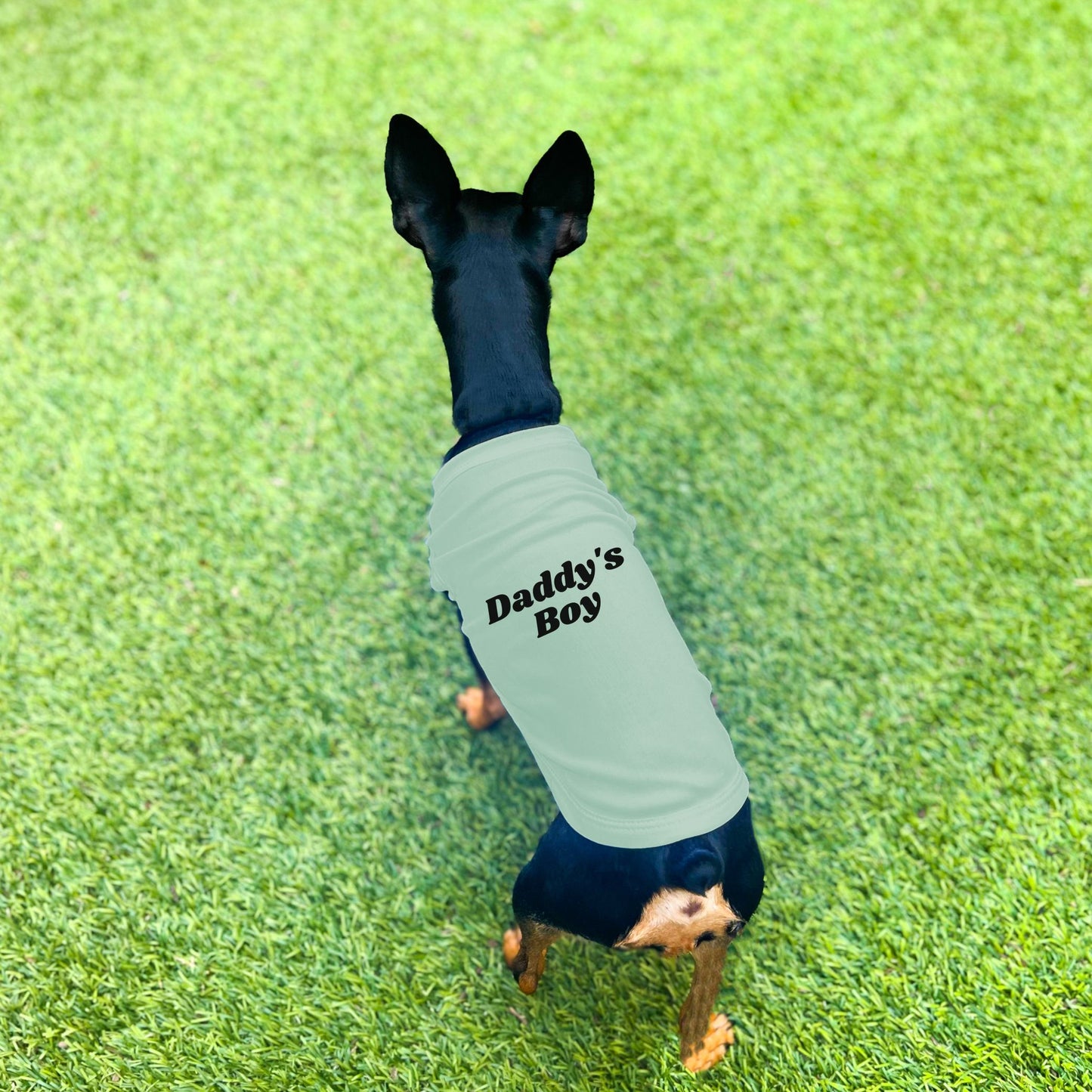 "Daddy's Boy" Dog Shirt