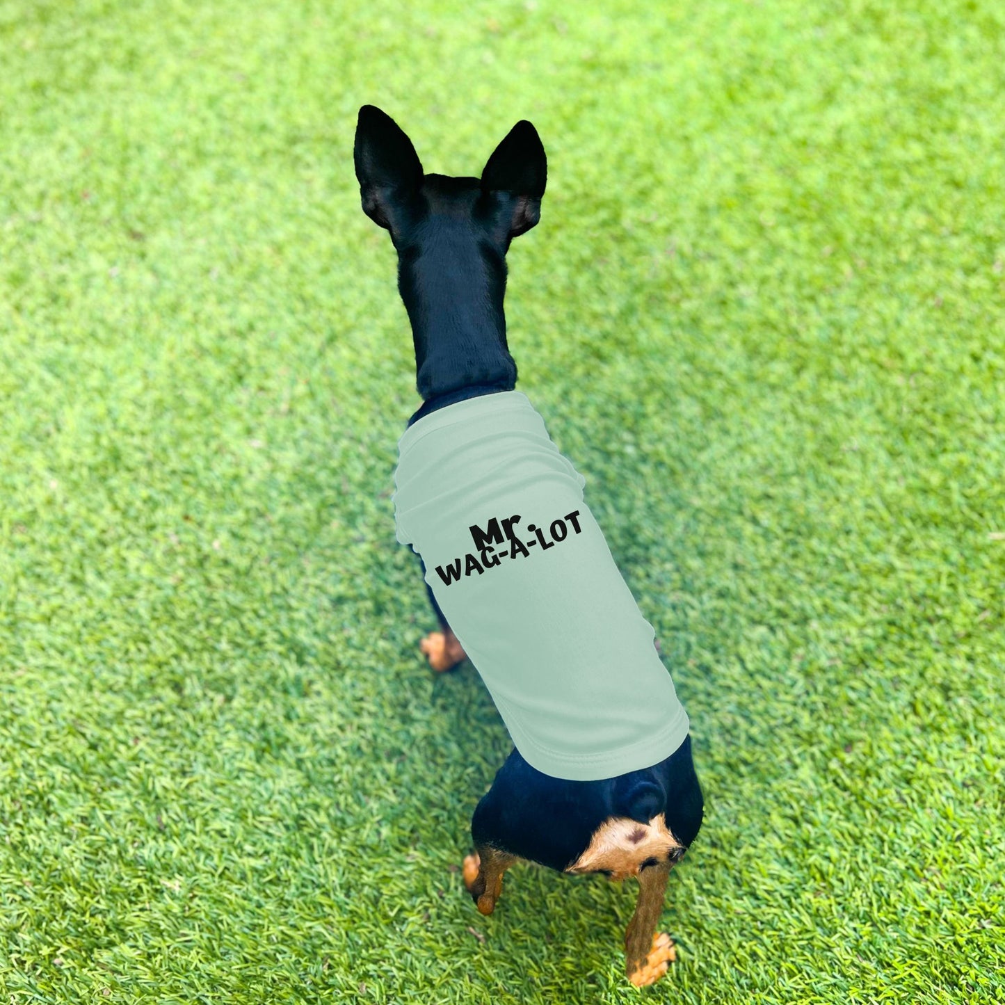 "Mr. Wag-A-Lot" Dog Shirt