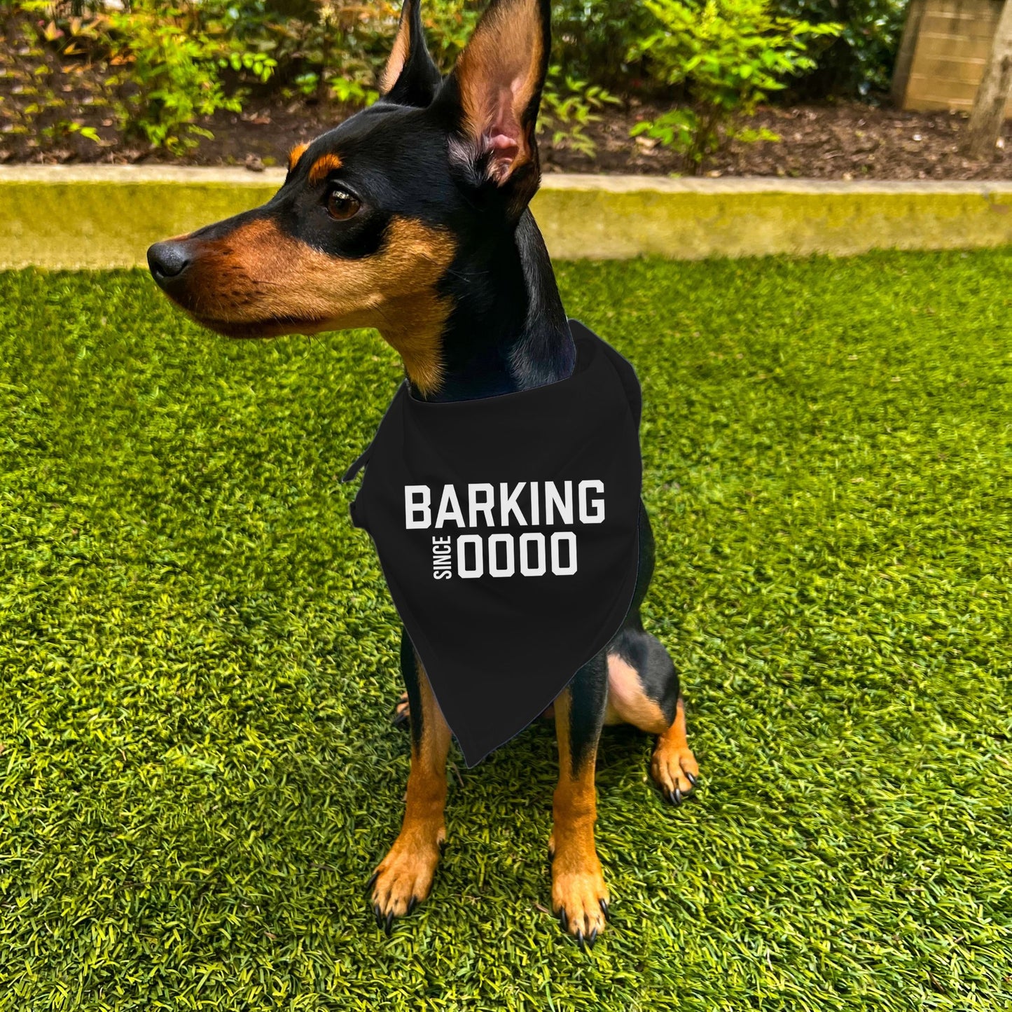 "Barking Since 0000" Custom Dog Bandana