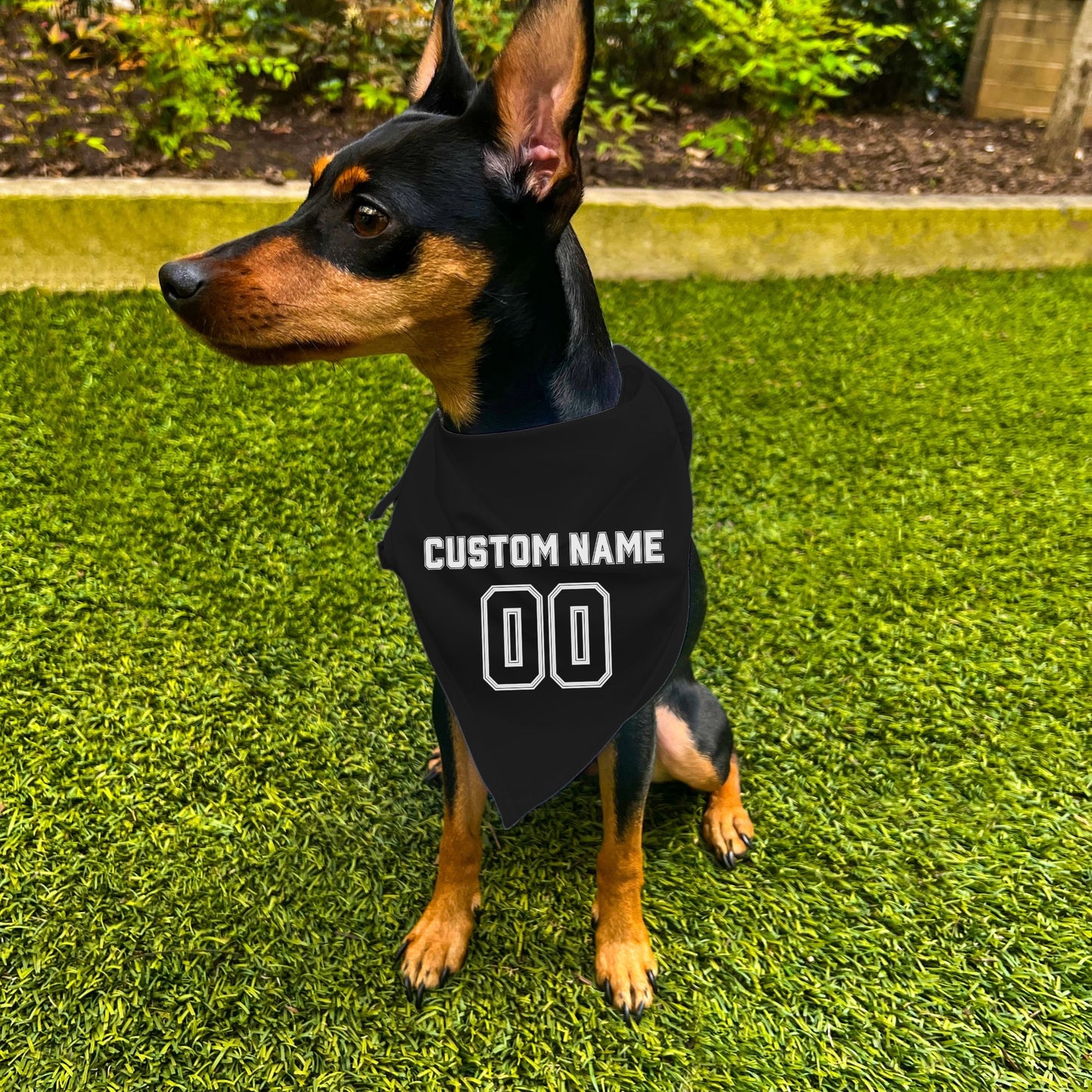 "Team Jersey 00" Custom Dog Bandana