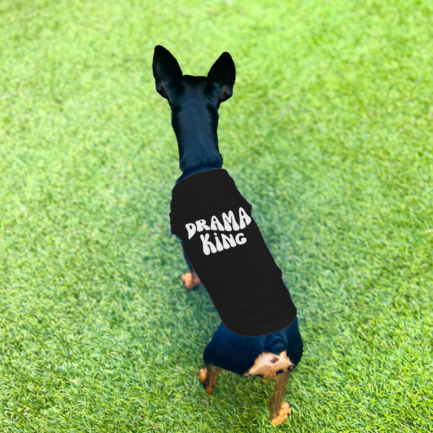 "Drama King" Retro Wave Dog Shirt