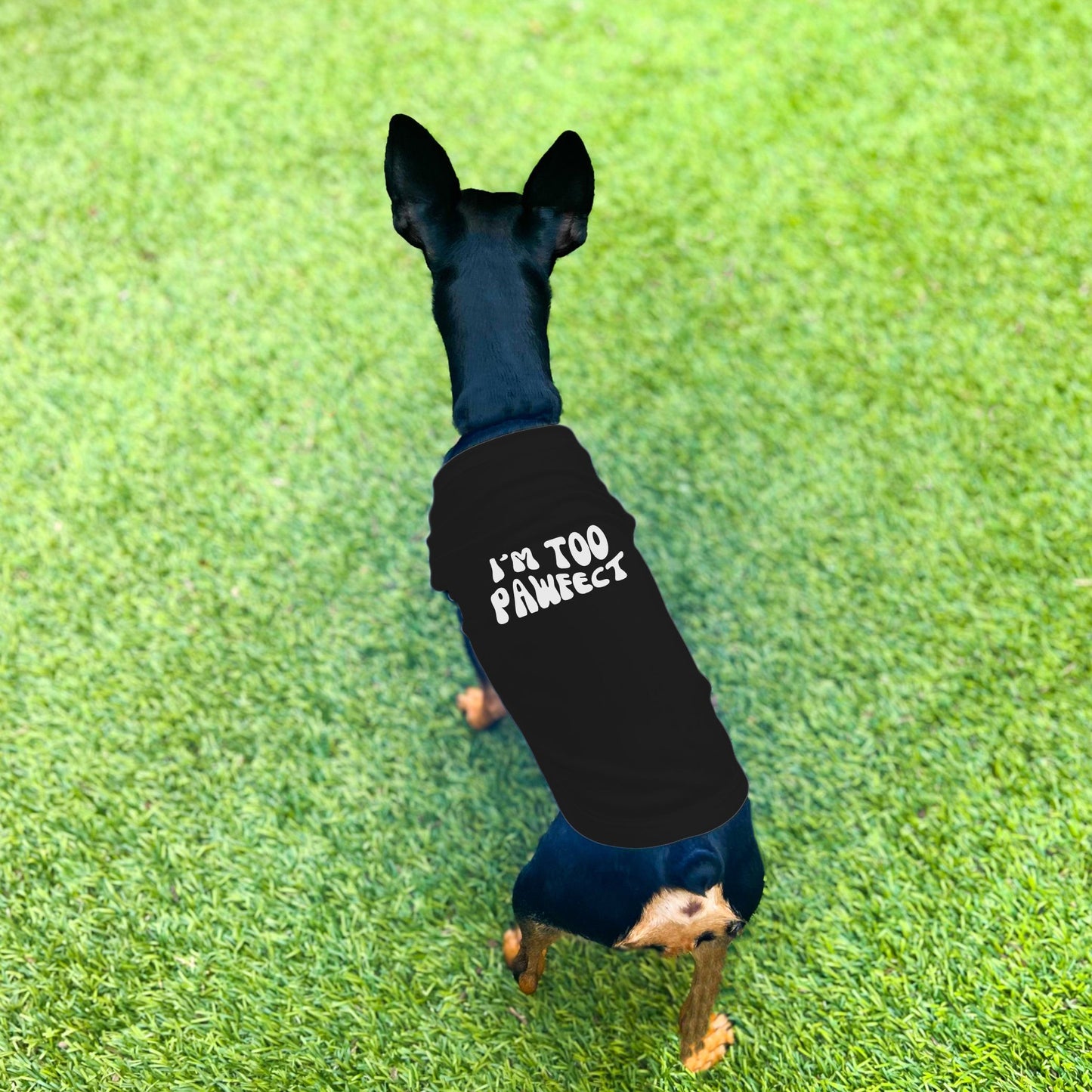 "I'm Too Pawfect" Dog Shirt