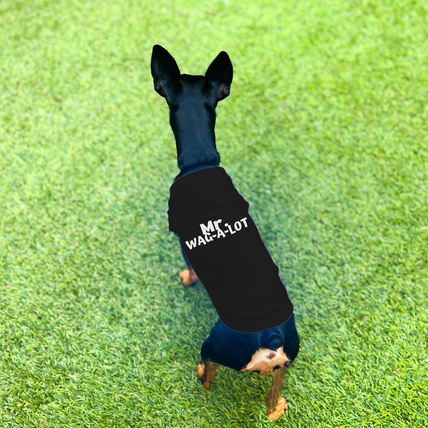 "Mr. Wag-A-Lot" Dog Shirt