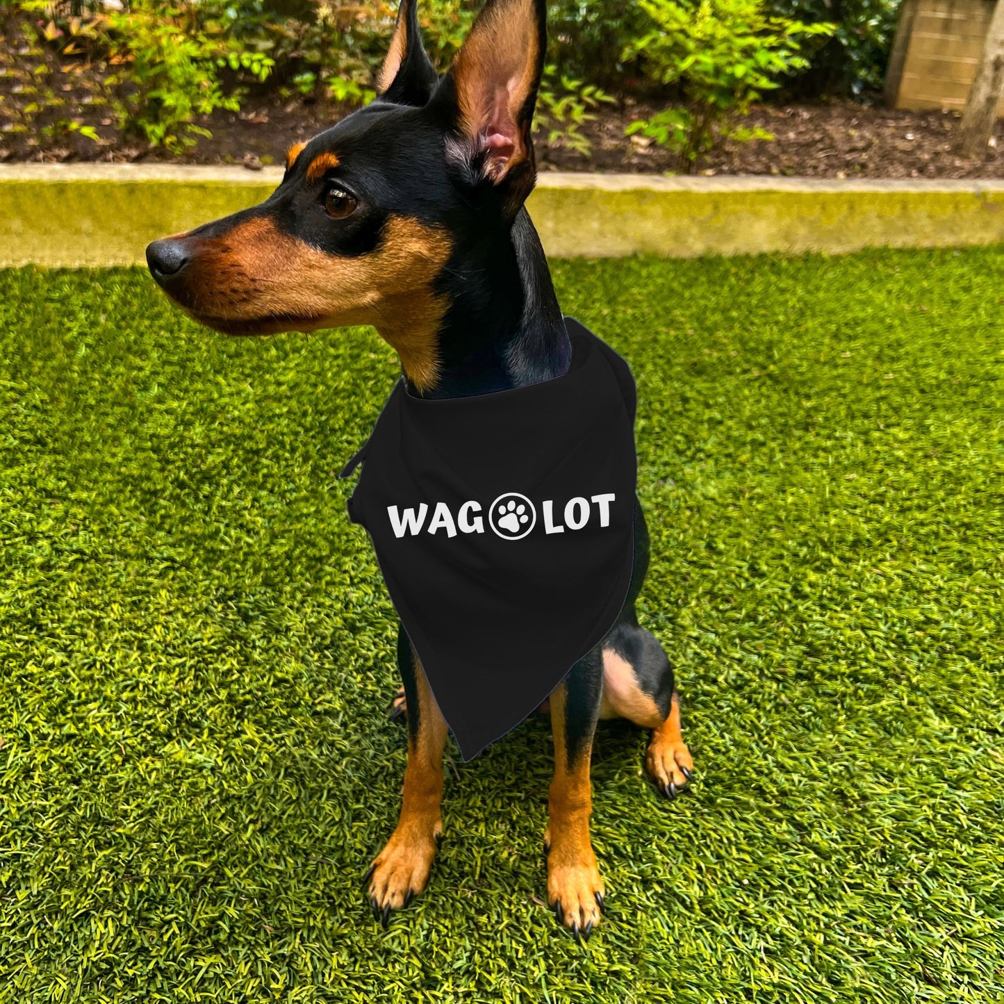 "Wag-A-Lot" Dog Bandana