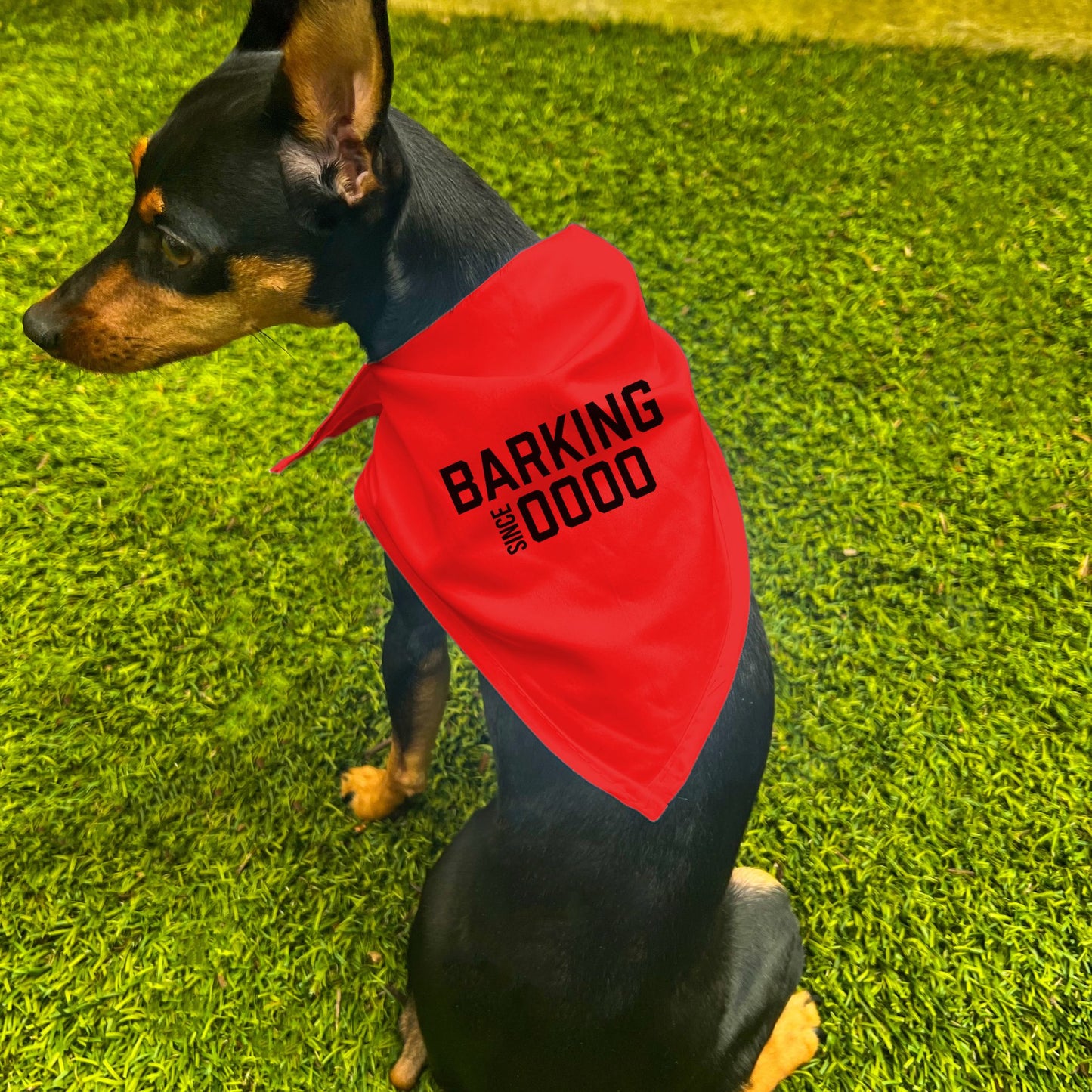 "Barking Since 0000" Custom Dog Bandana