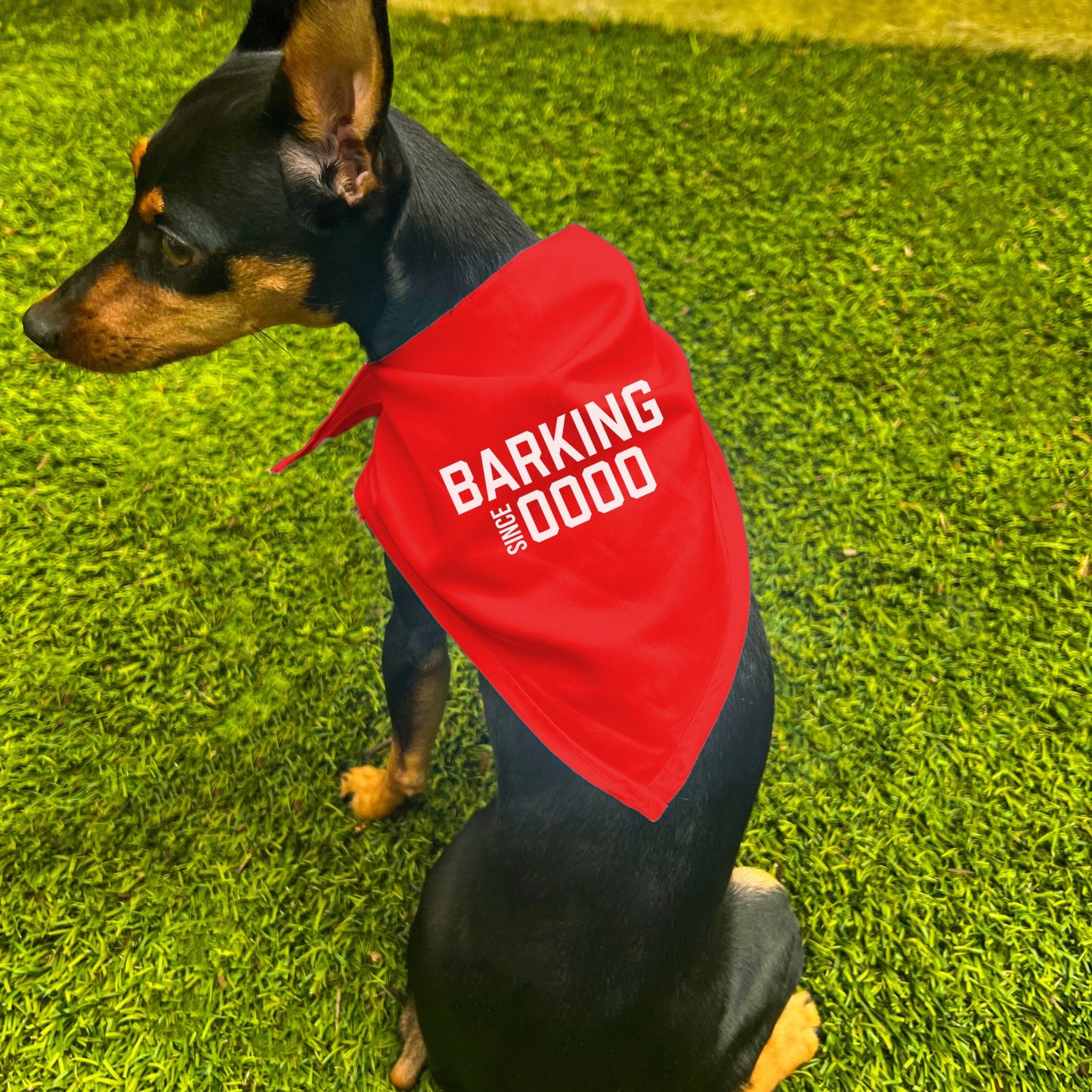 "Barking Since 0000" Custom Dog Bandana