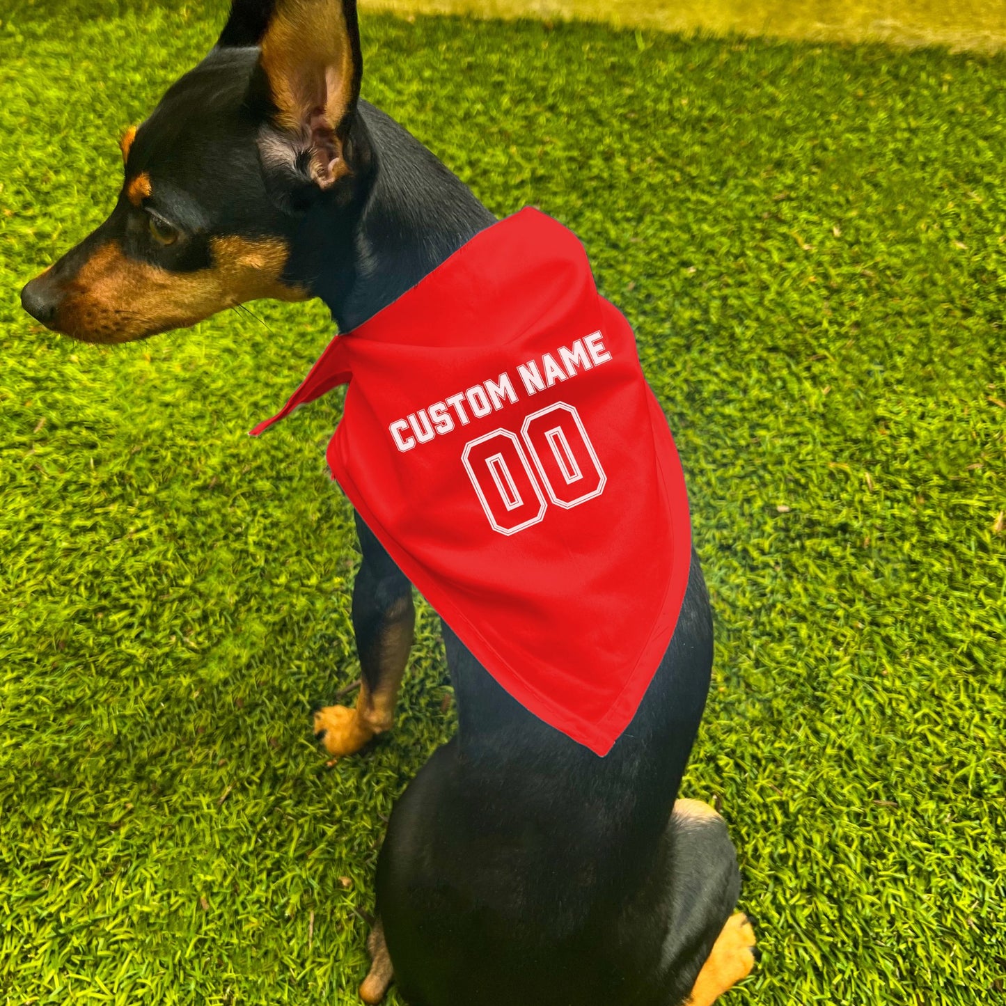 "Team Jersey 00" Custom Dog Bandana