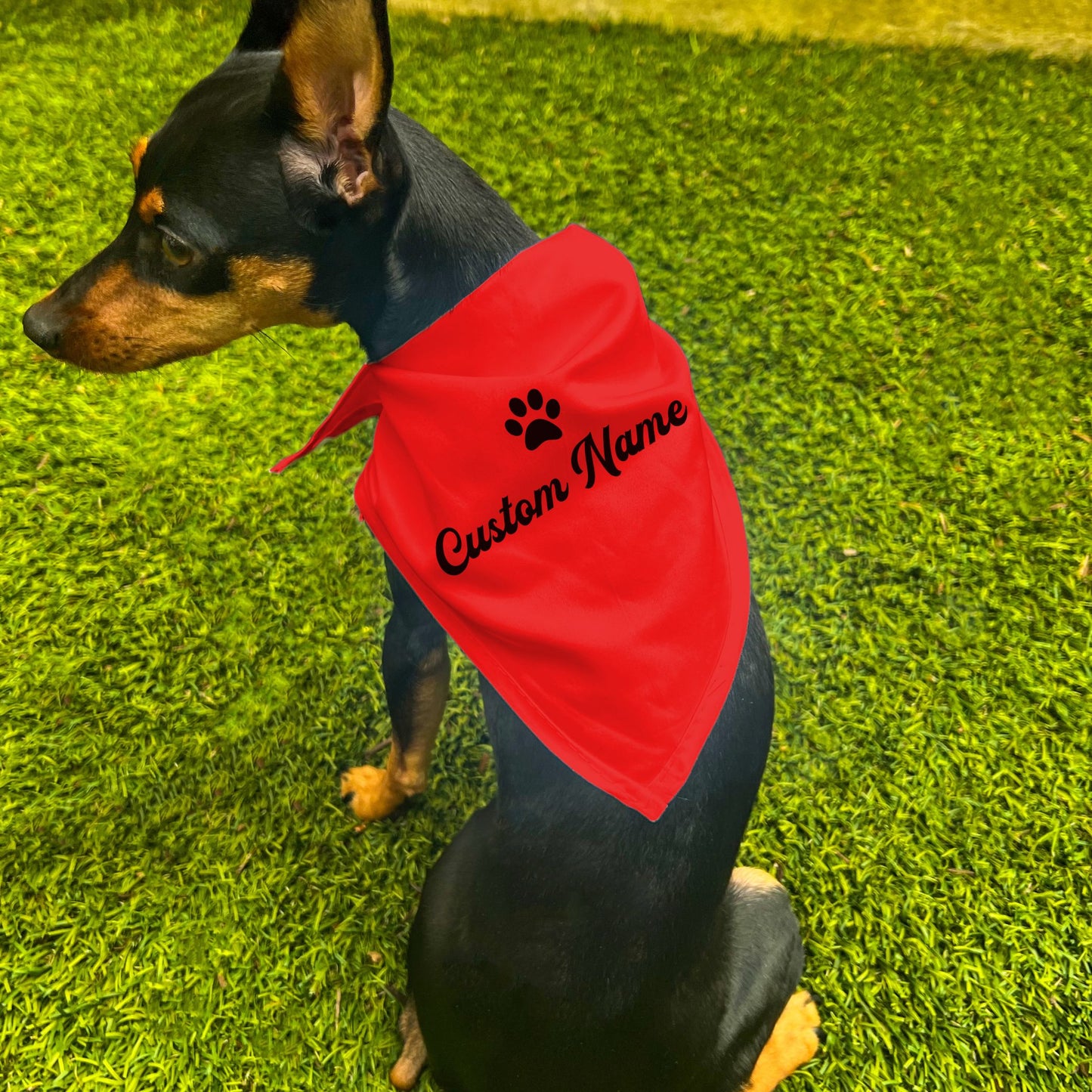 "Personalize Paw" Custom Dog Bandana