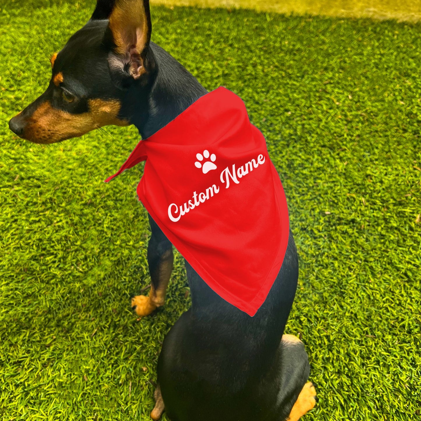 "Personalize Paw" Custom Dog Bandana