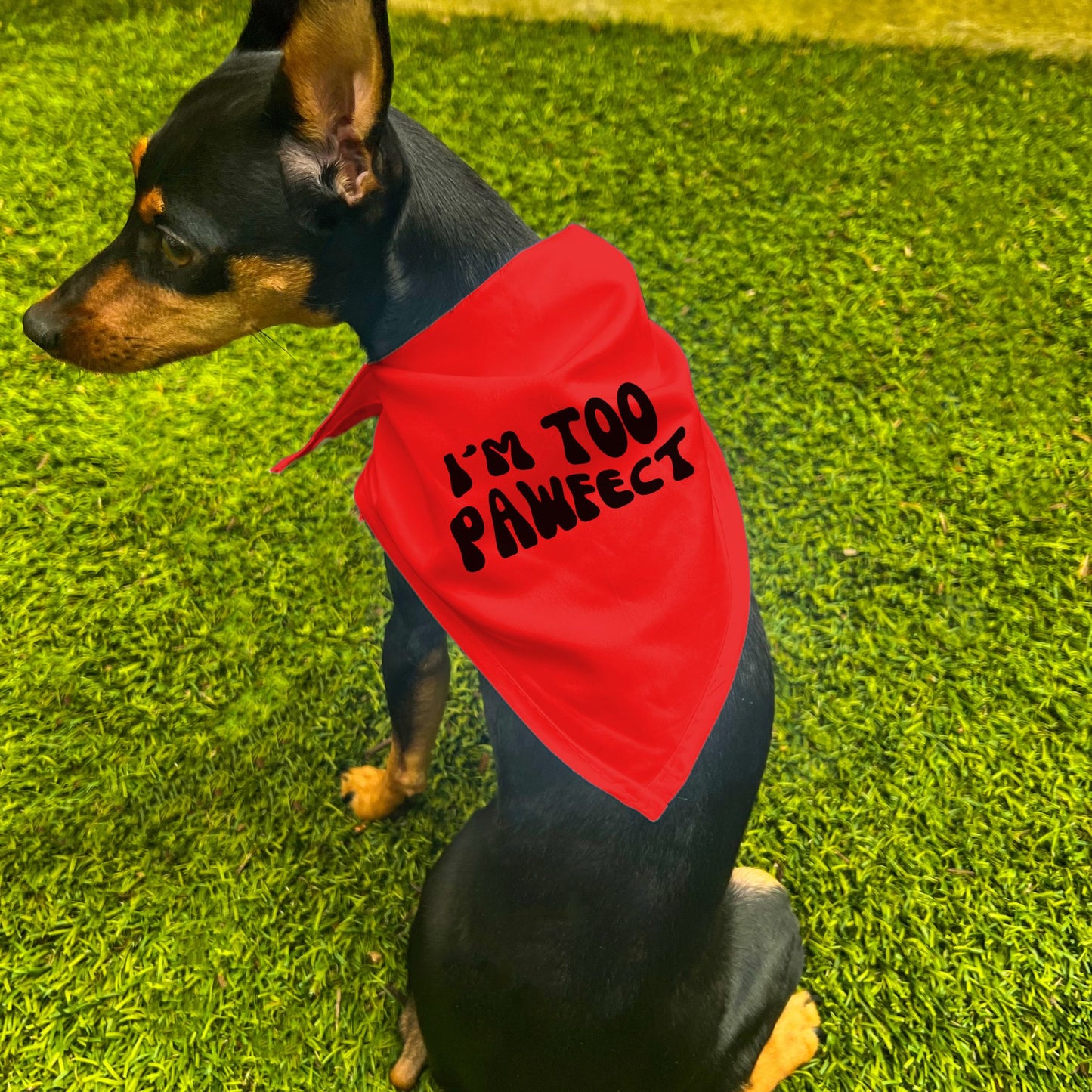 "I'm Too Pawfect" Dog Bandana