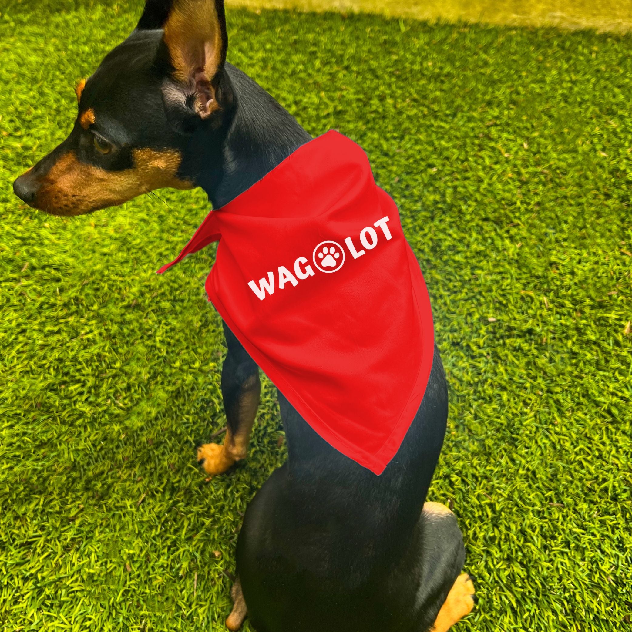 Wag bandana outlet