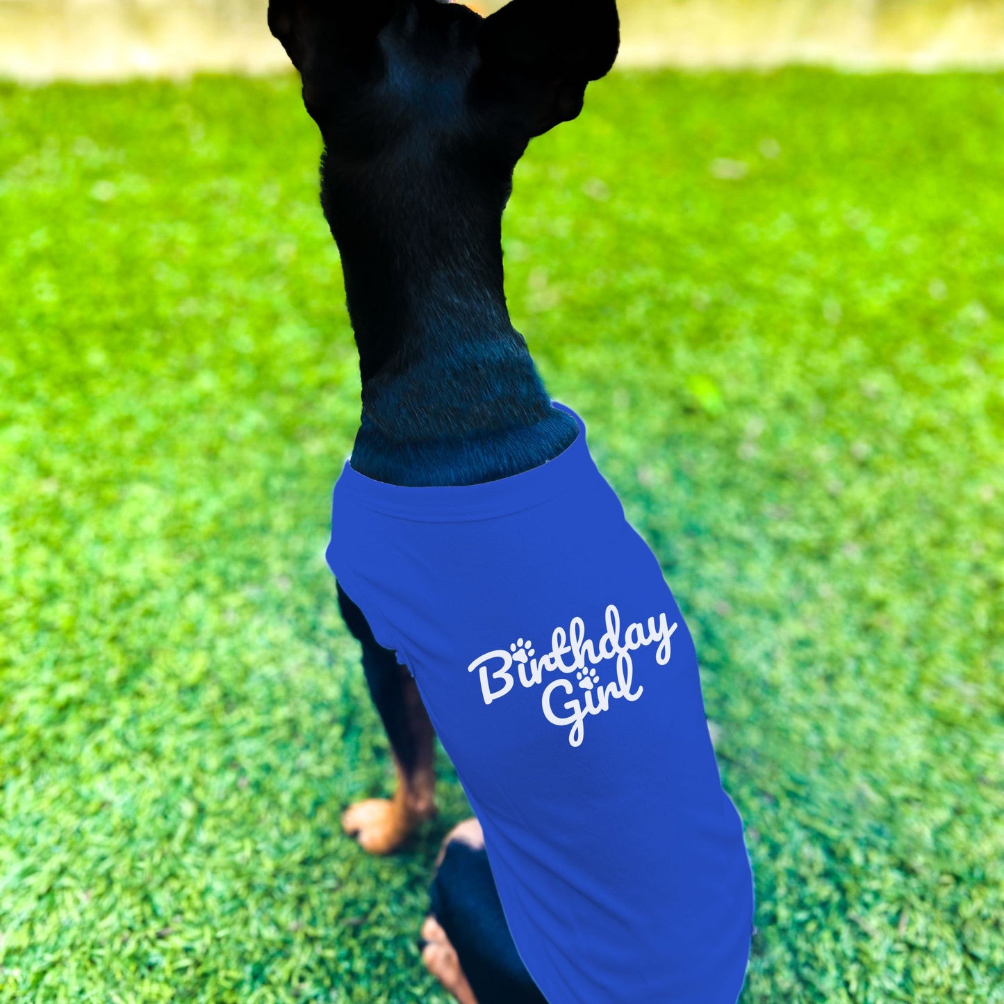 "Birthday Girl" Dog Shirt