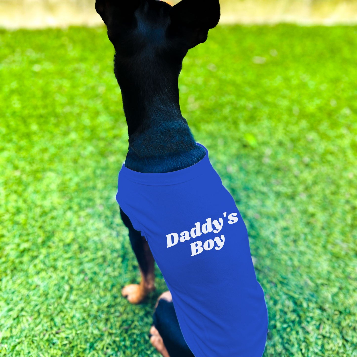 "Daddy's Boy" Dog Shirt