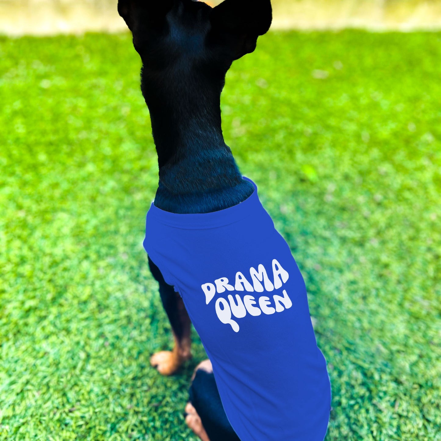 "Drama Queen" Retro Wave Dog Shirt