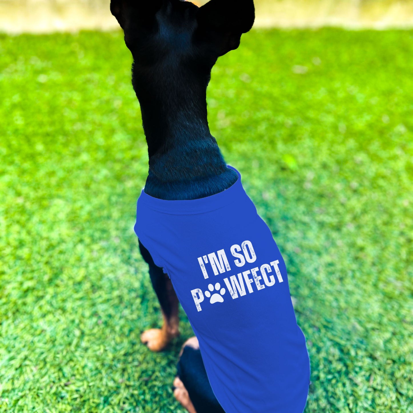 "I'm So PAWfect" Dog Shirt