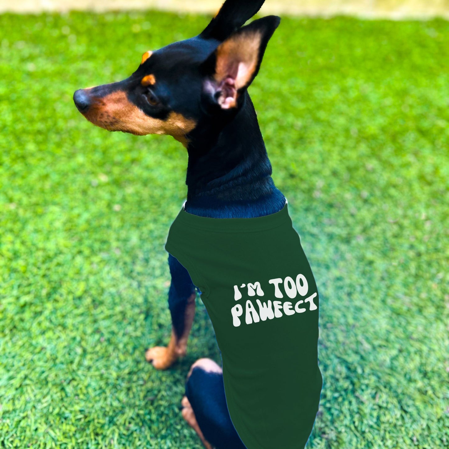 "I'm Too Pawfect" Dog Shirt