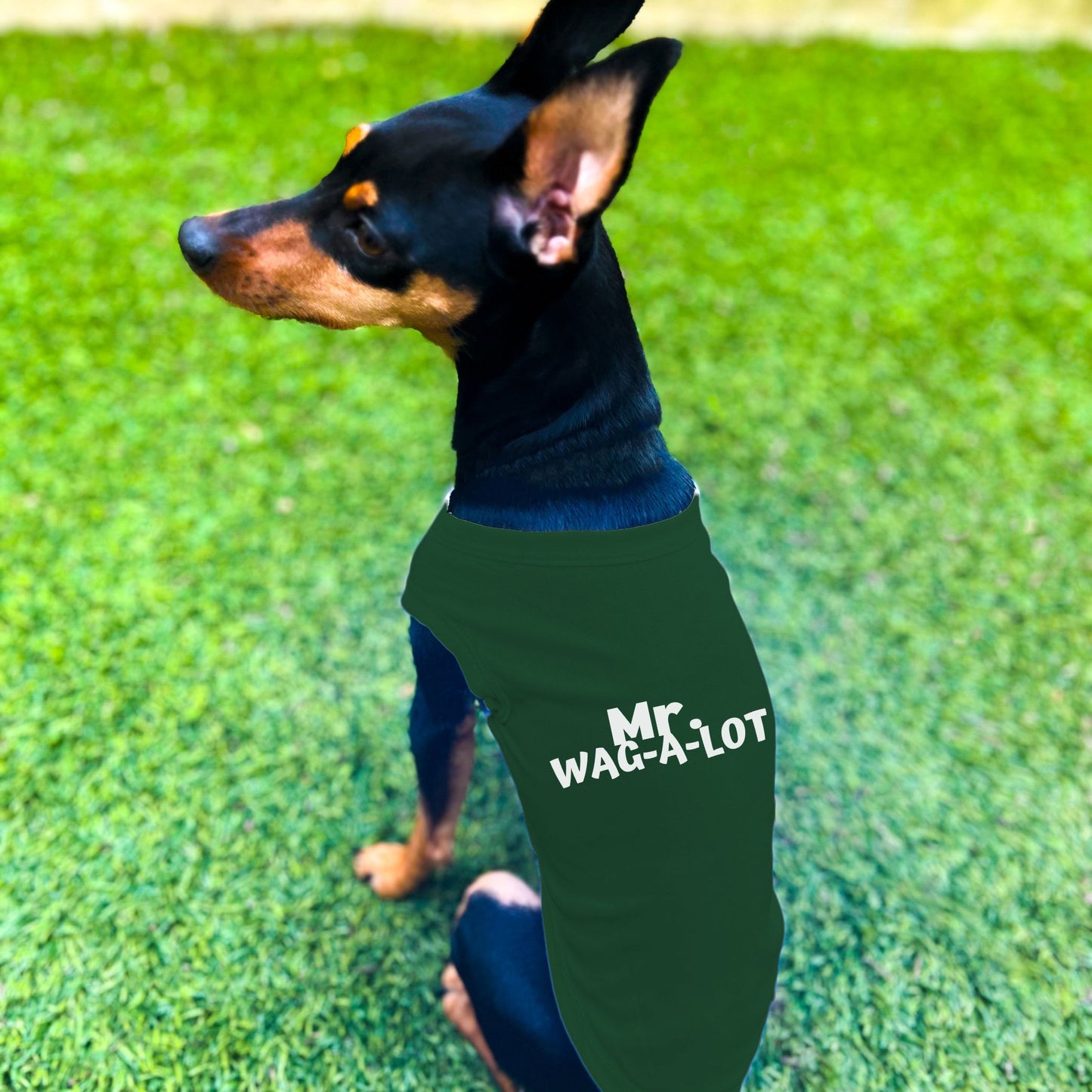 "Mr. Wag-A-Lot" Dog Shirt