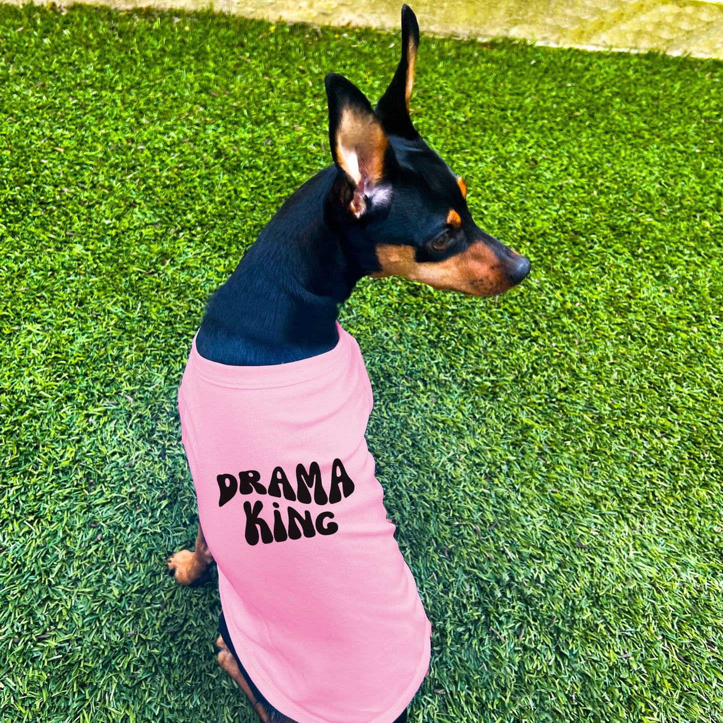 "Drama King" Retro Wave Dog Shirt