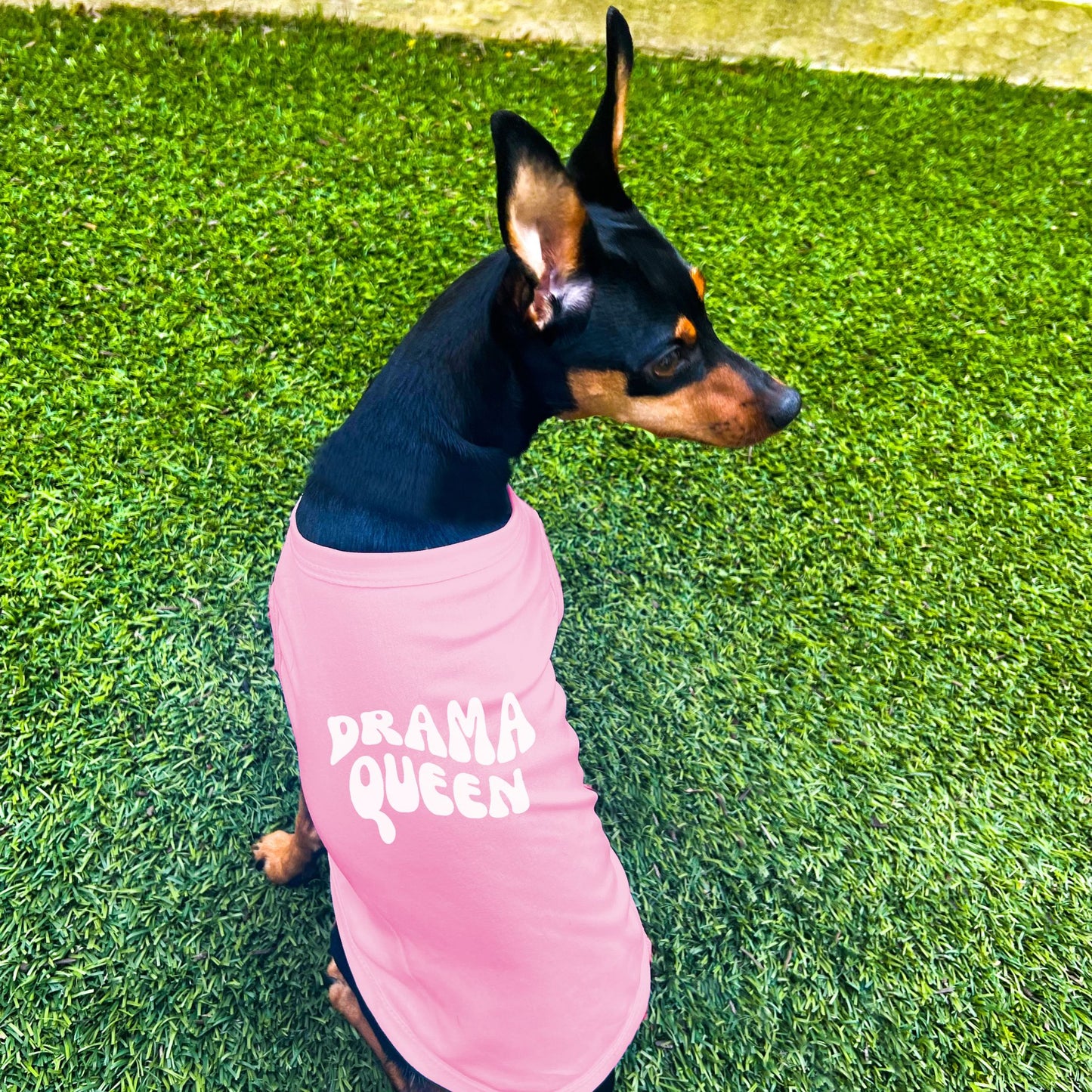 "Drama Queen" Retro Wave Dog Shirt