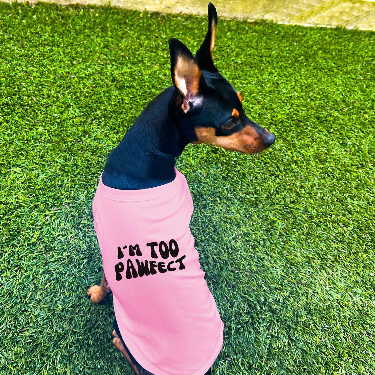 "I'm Too Pawfect" Dog Shirt