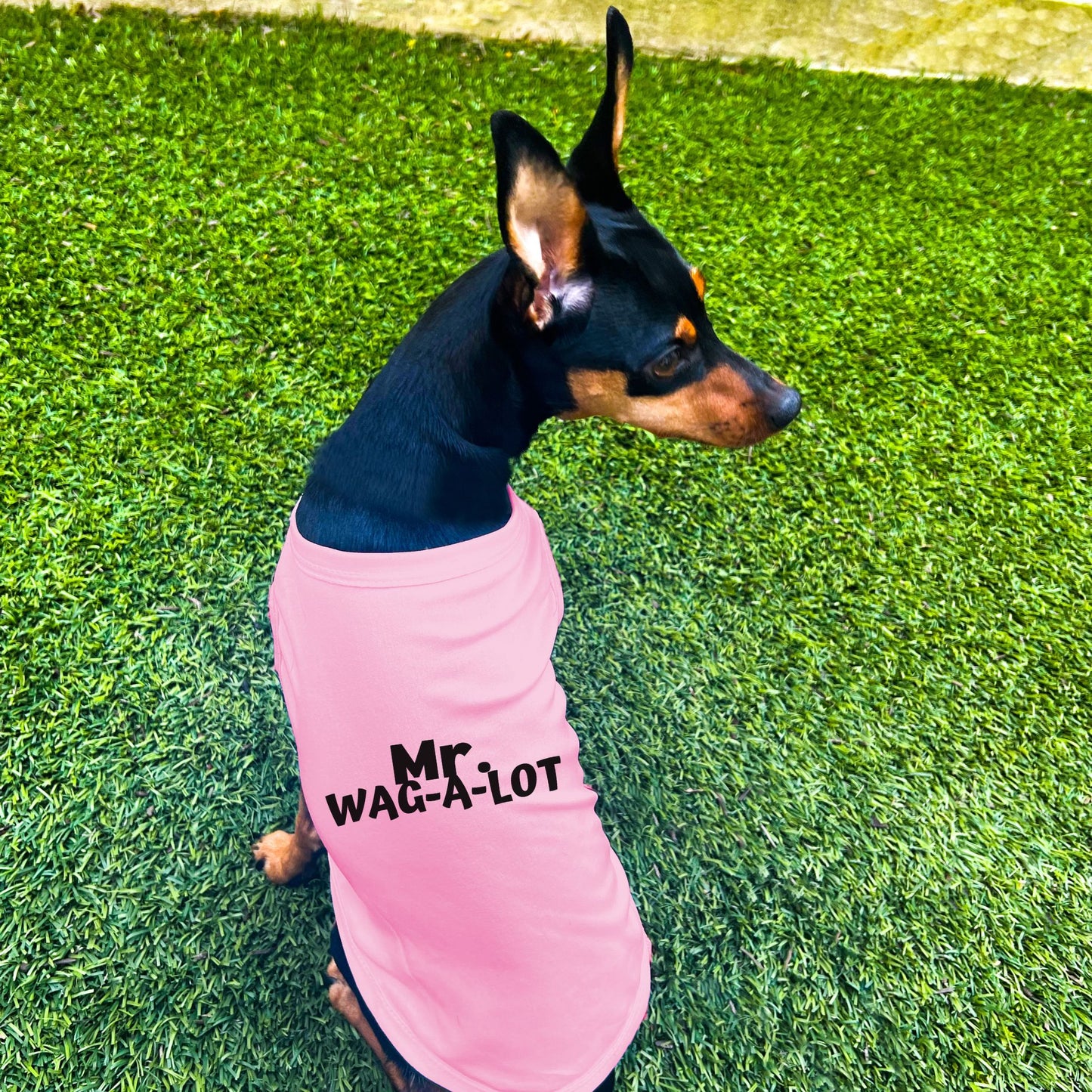 "Mr. Wag-A-Lot" Dog Shirt