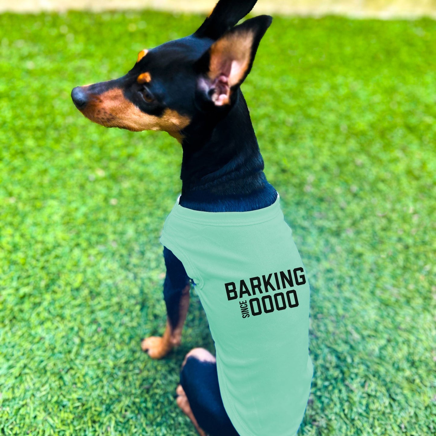 "Barking Since 0000" Custom Dog Shirt