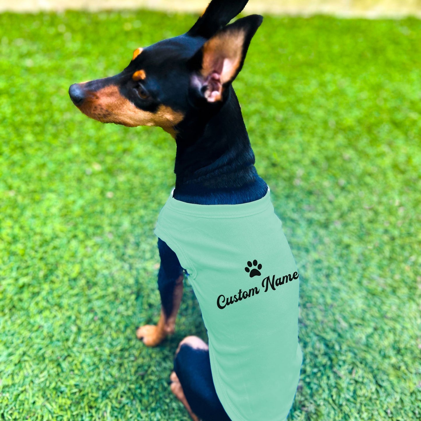 "Personalize Paw" Custom Dog Shirt