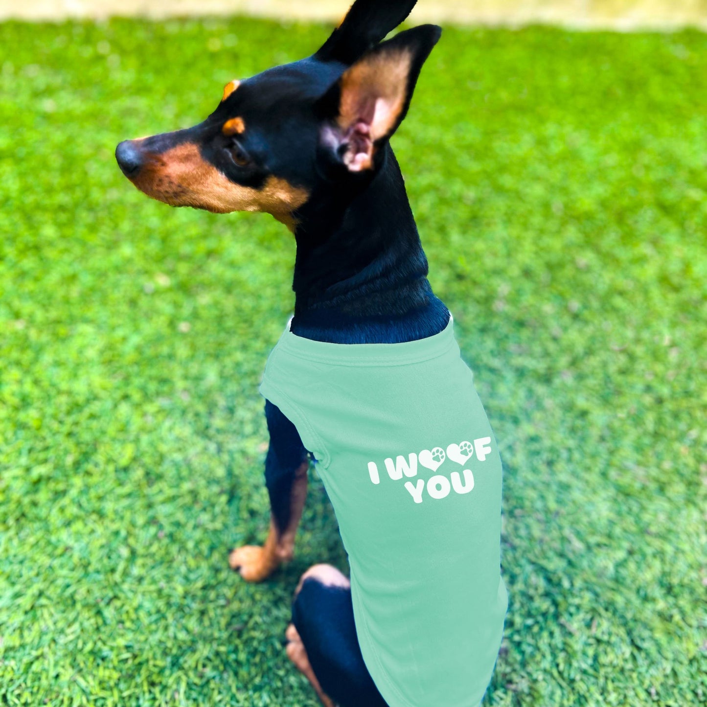 "I Woof You" Dog Shirt