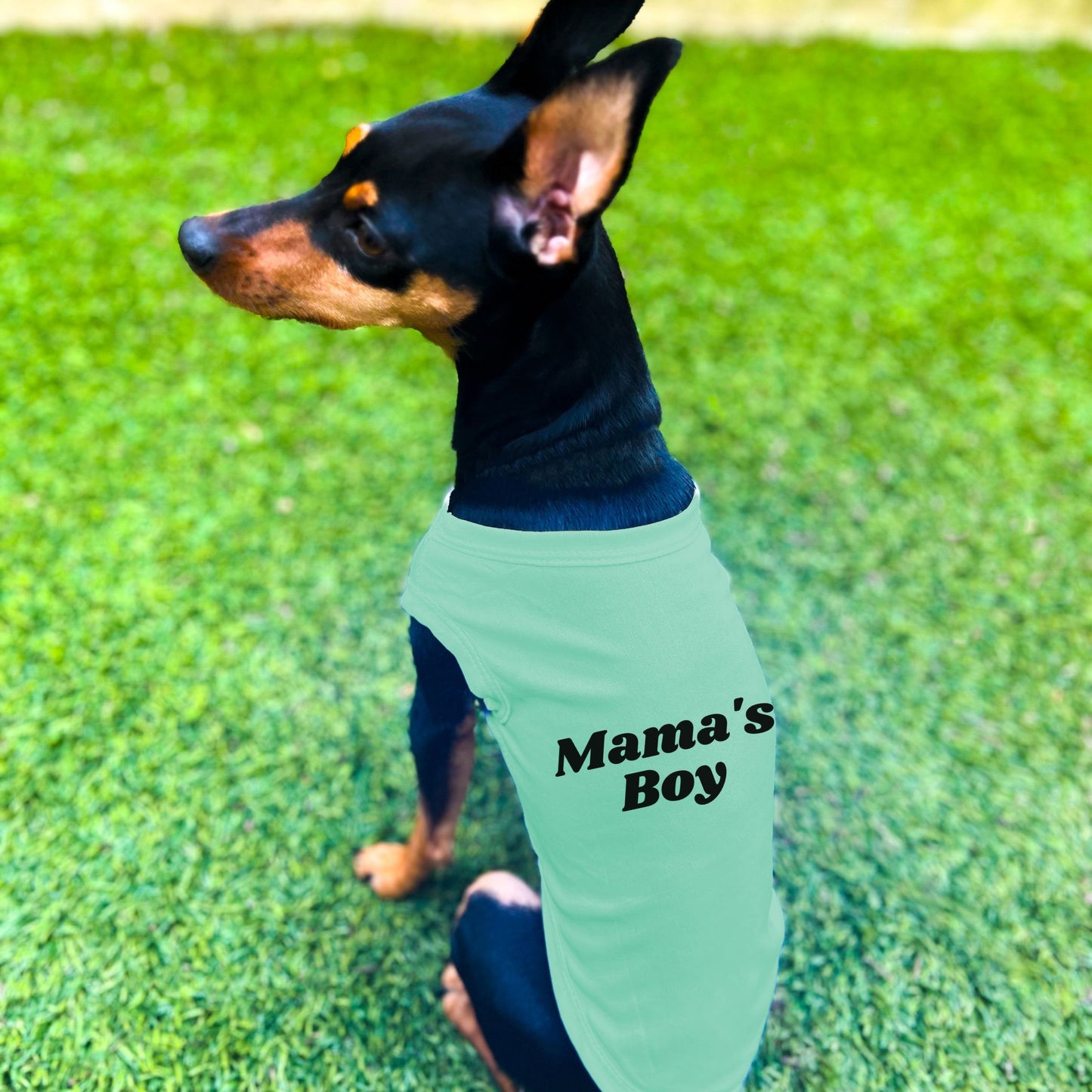 "Mama's Boy" Dog Shirt