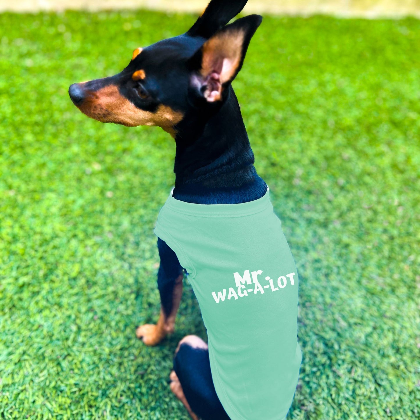 "Mr. Wag-A-Lot" Dog Shirt