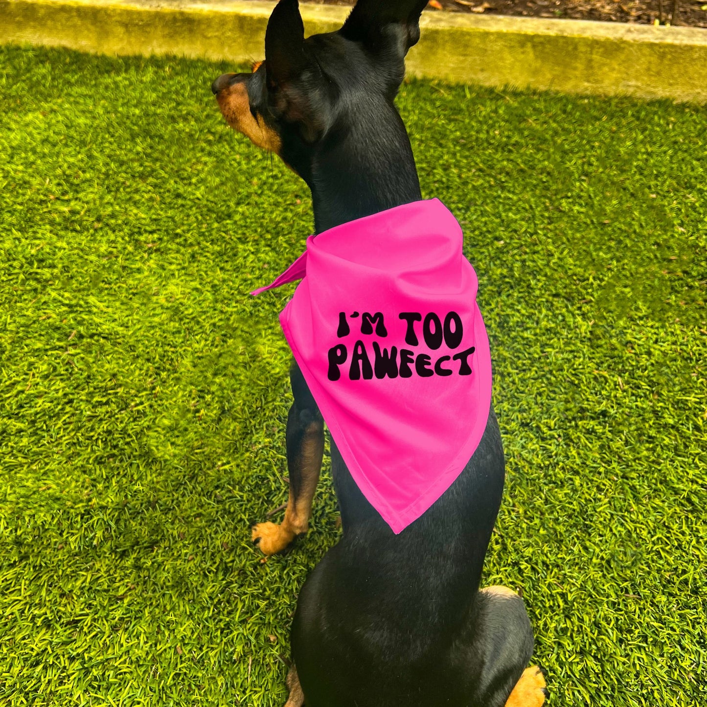 "I'm Too Pawfect" Dog Bandana